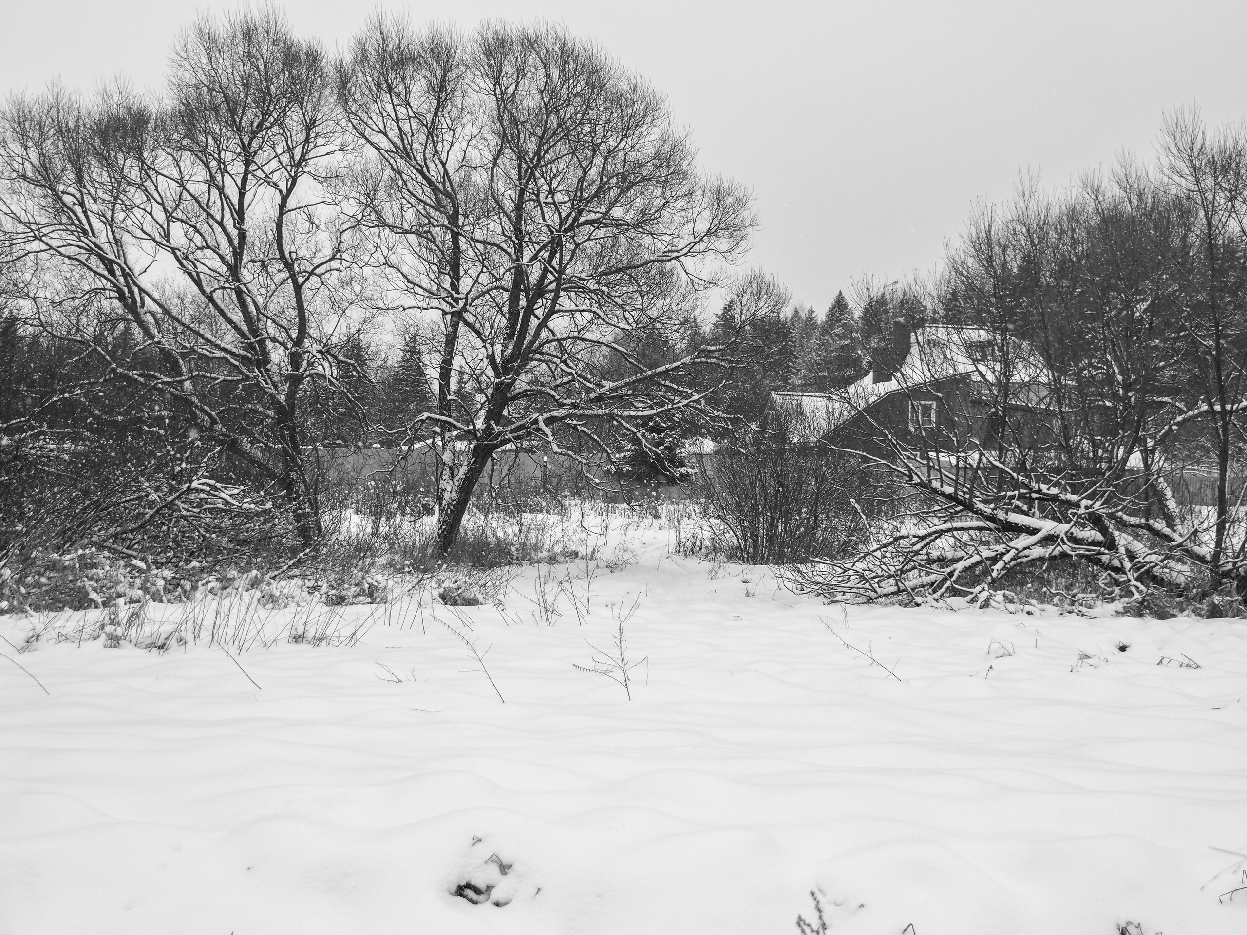 Black and white look. Фотограф