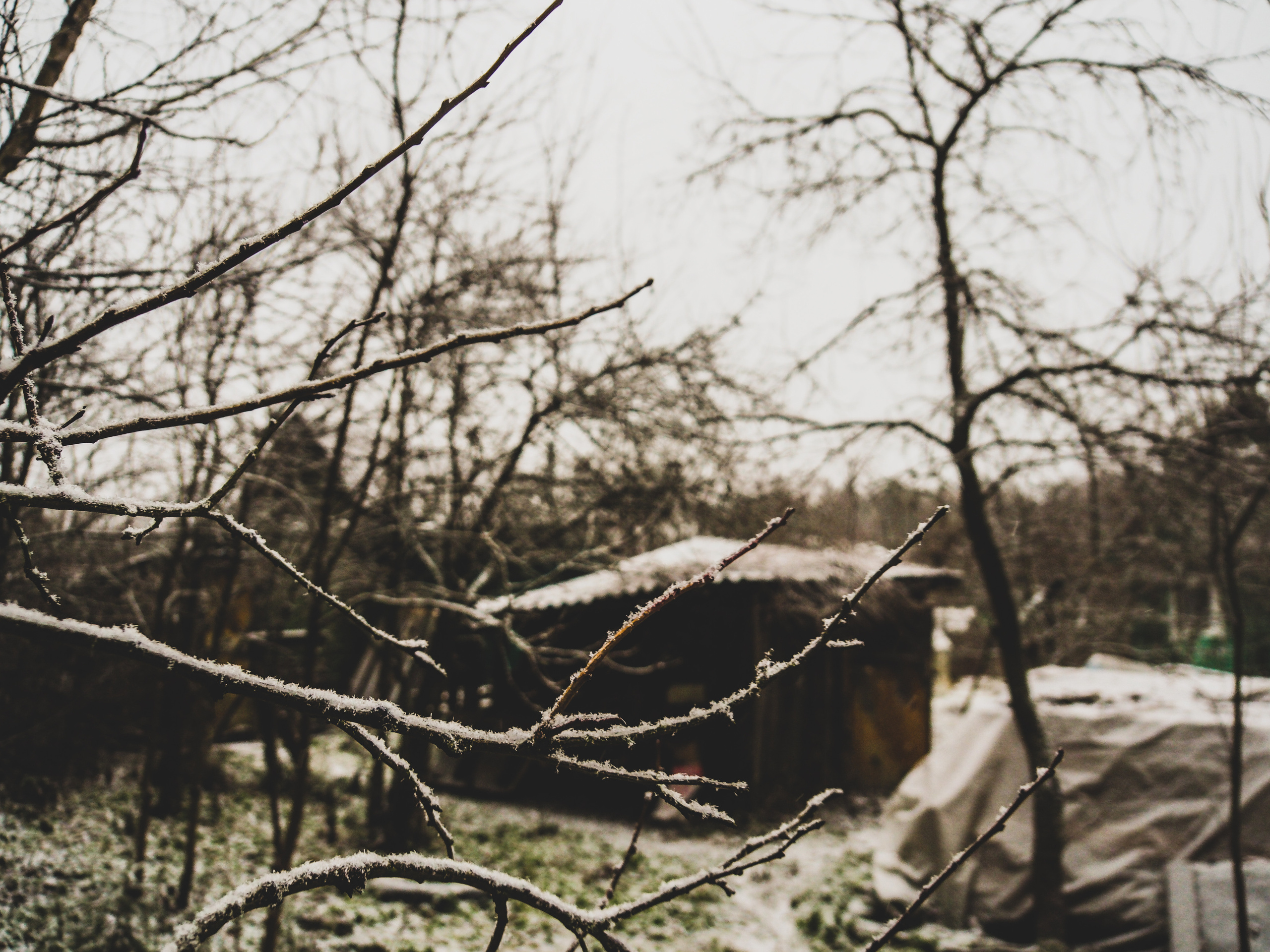 Not far from Moscow. Фотограф