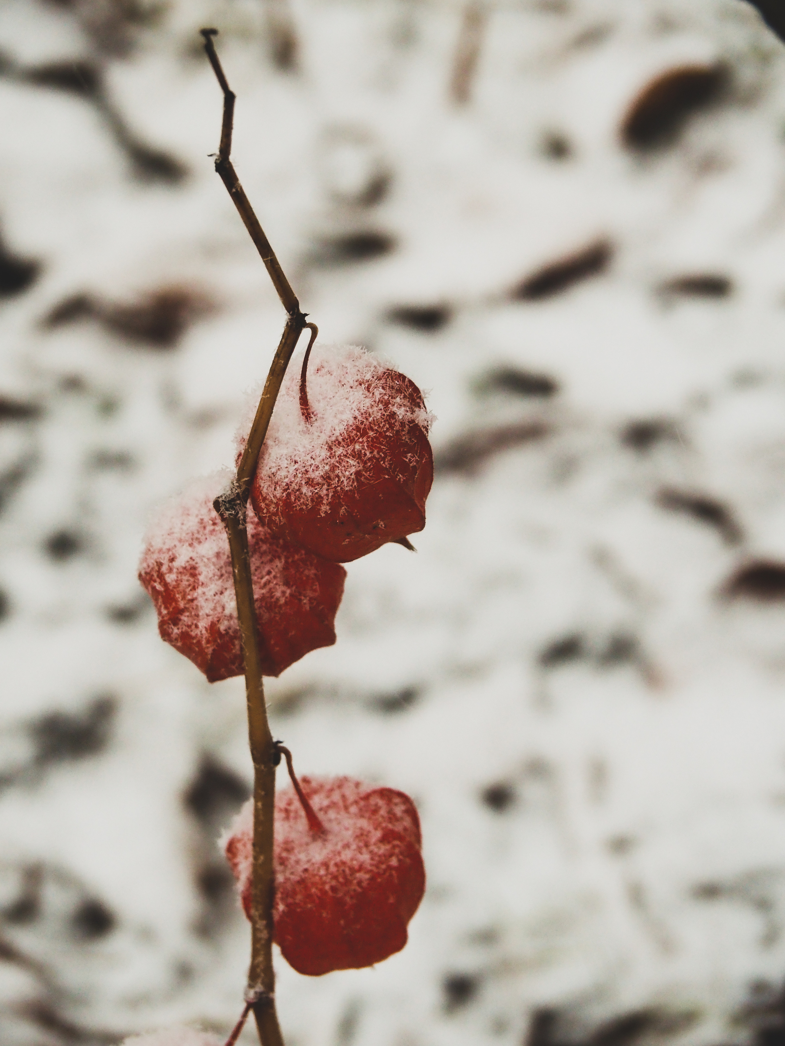 Not far from Moscow. Фотограф