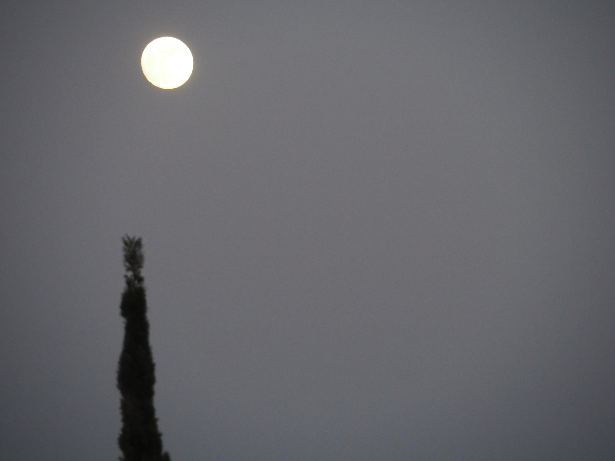 Black and white look. Фотограф