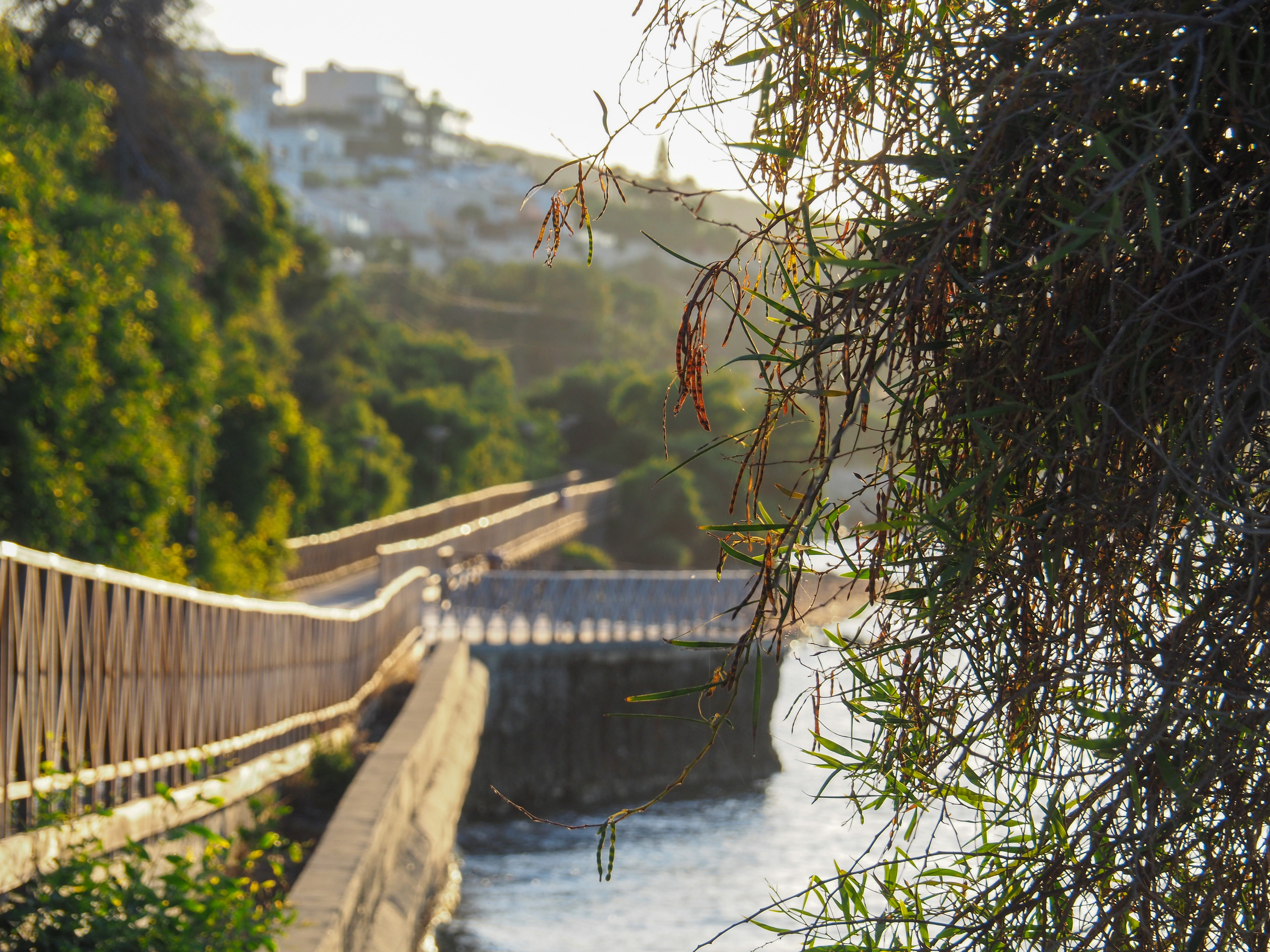 Limassol. City by the sea. Фотограф