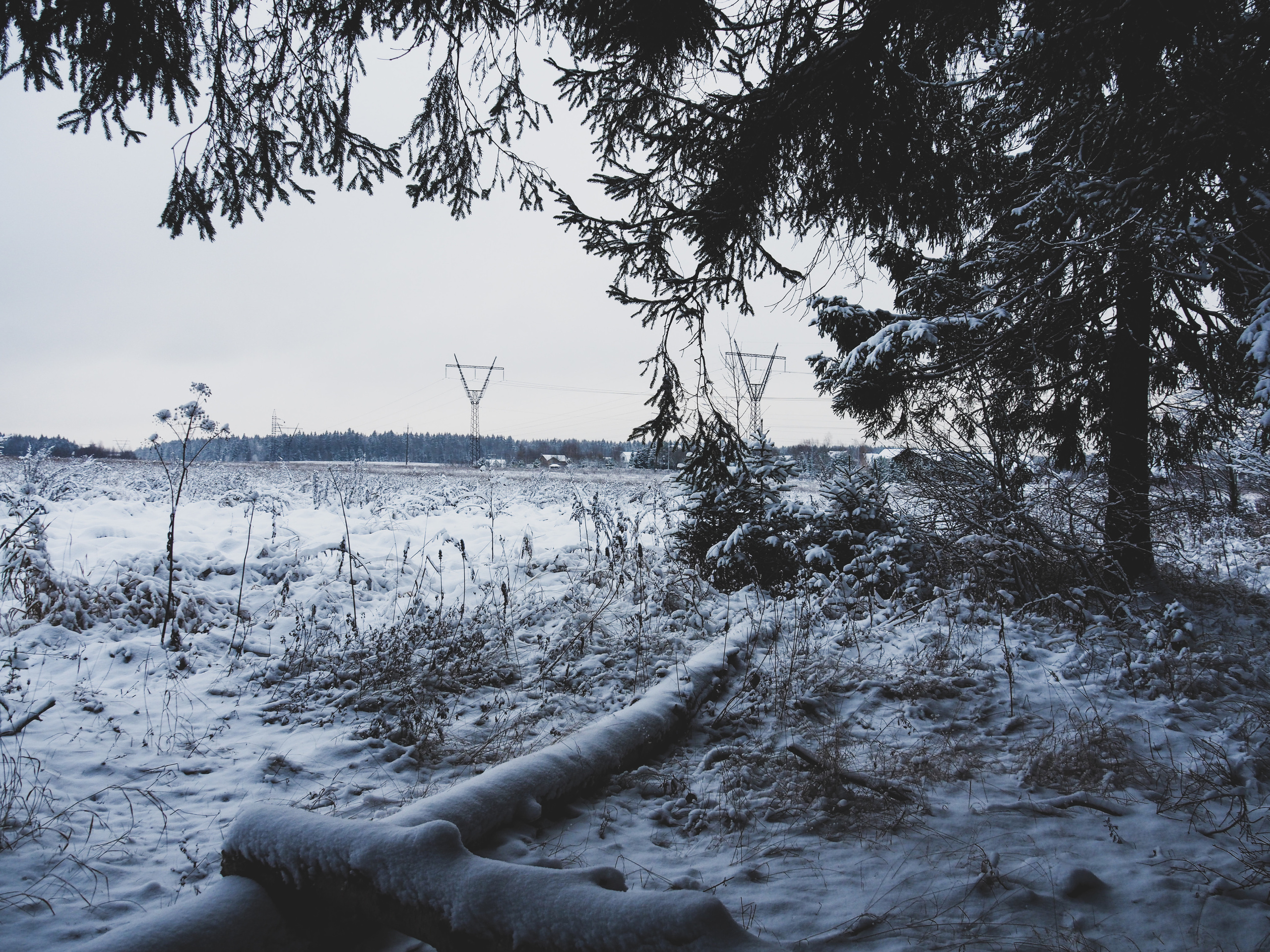Not far from Moscow. Фотограф