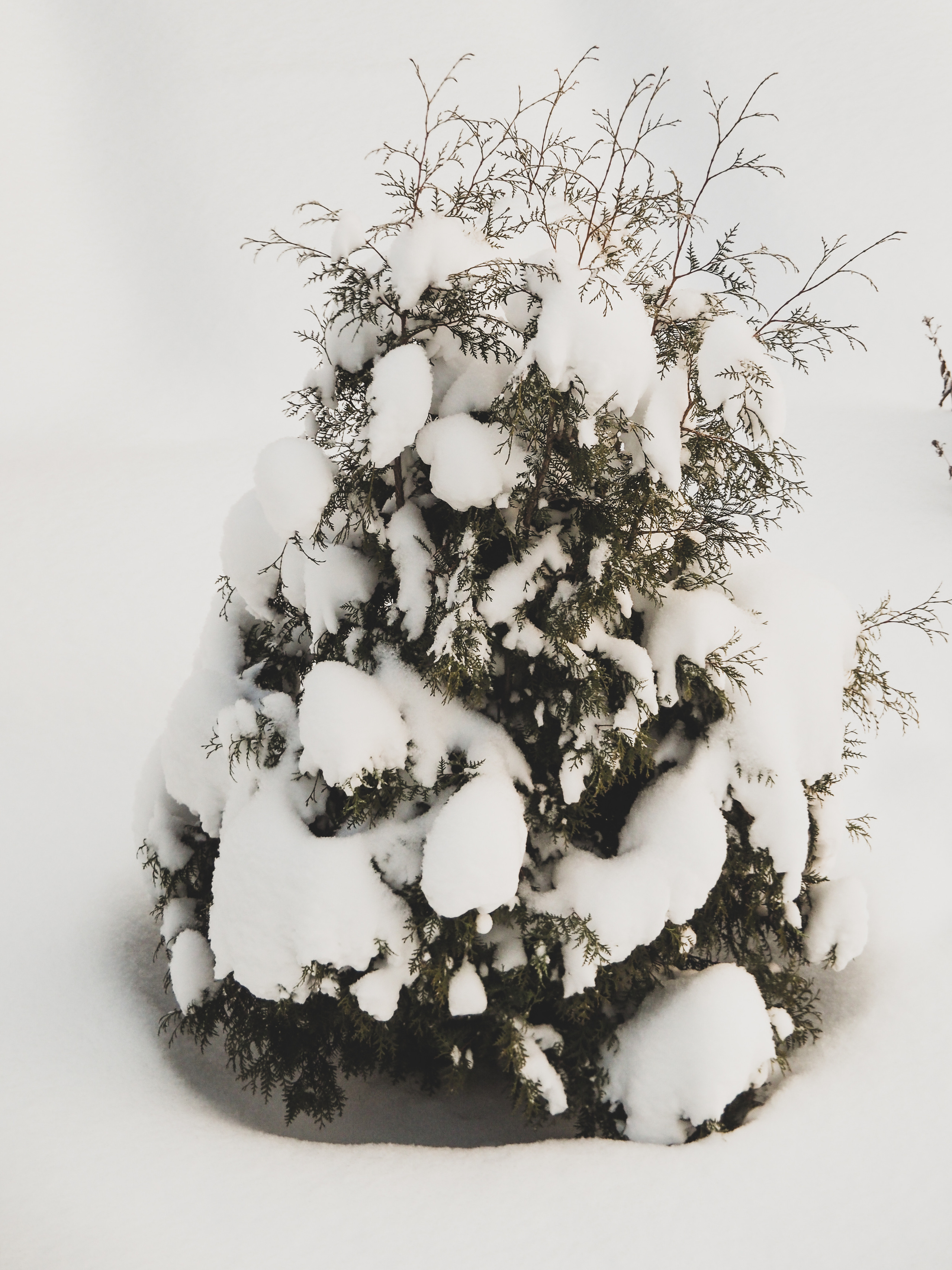 Black and white look. Фотограф