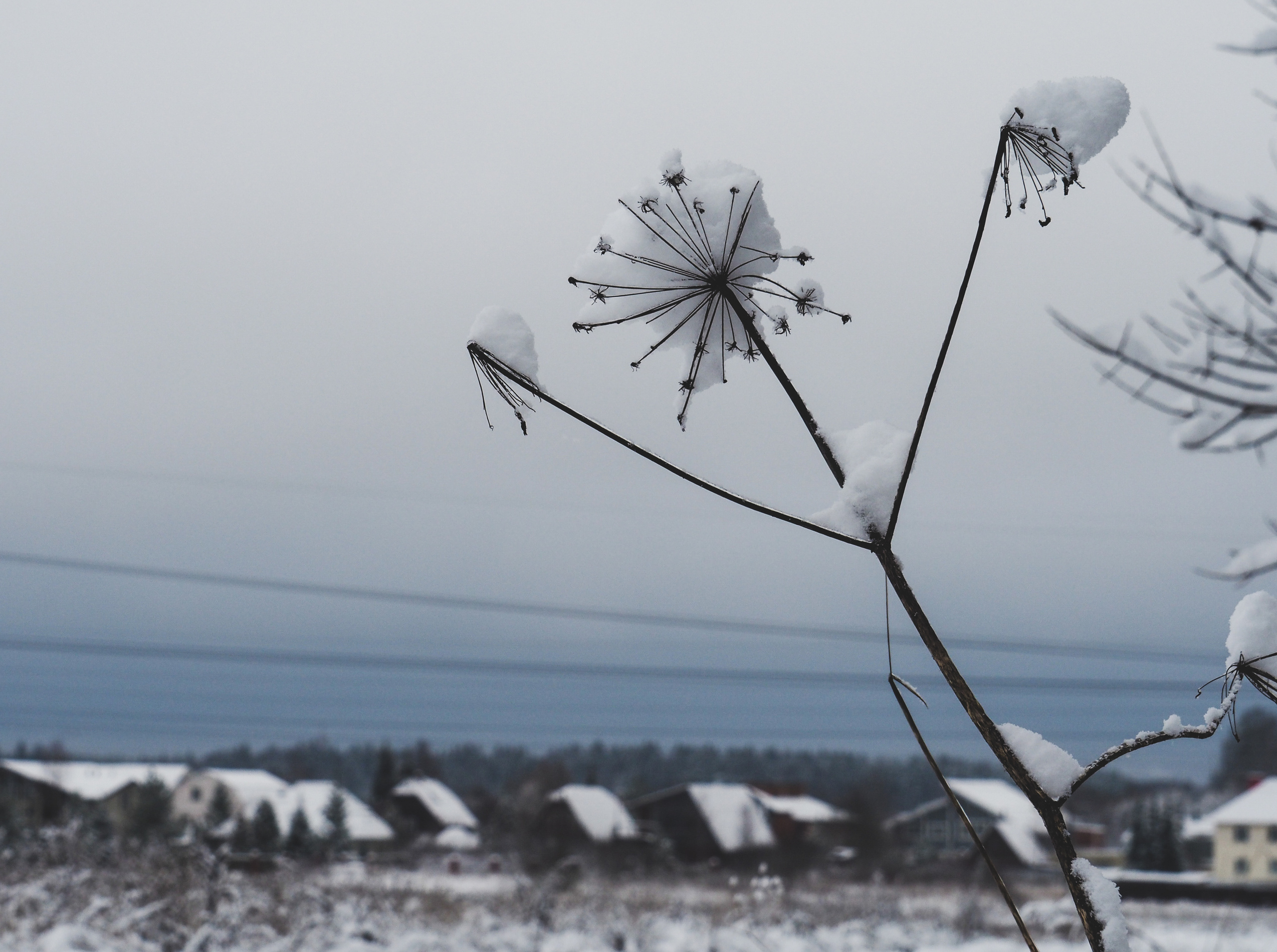 Not far from Moscow. Фотограф