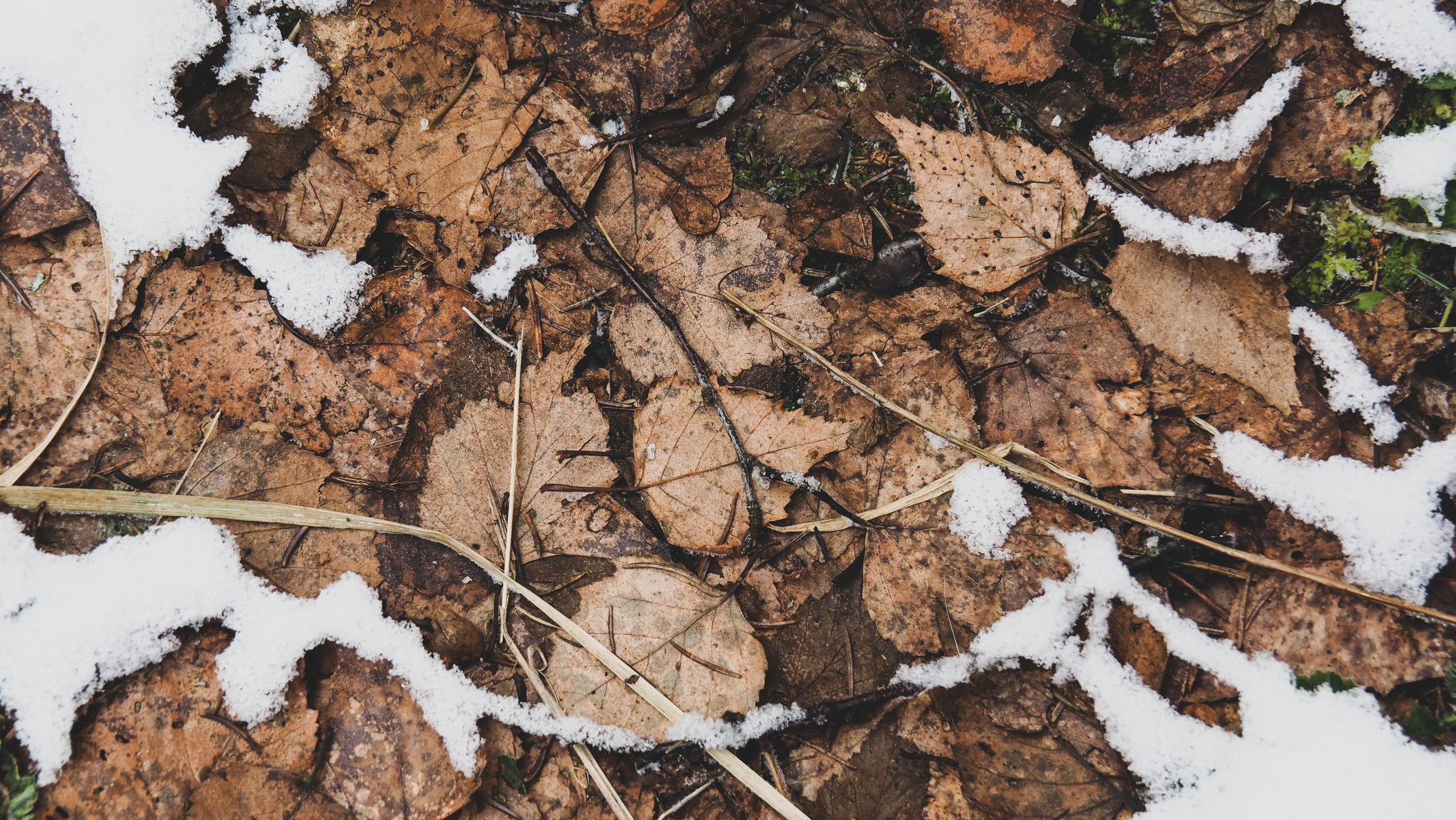 Not far from Moscow. Фотограф