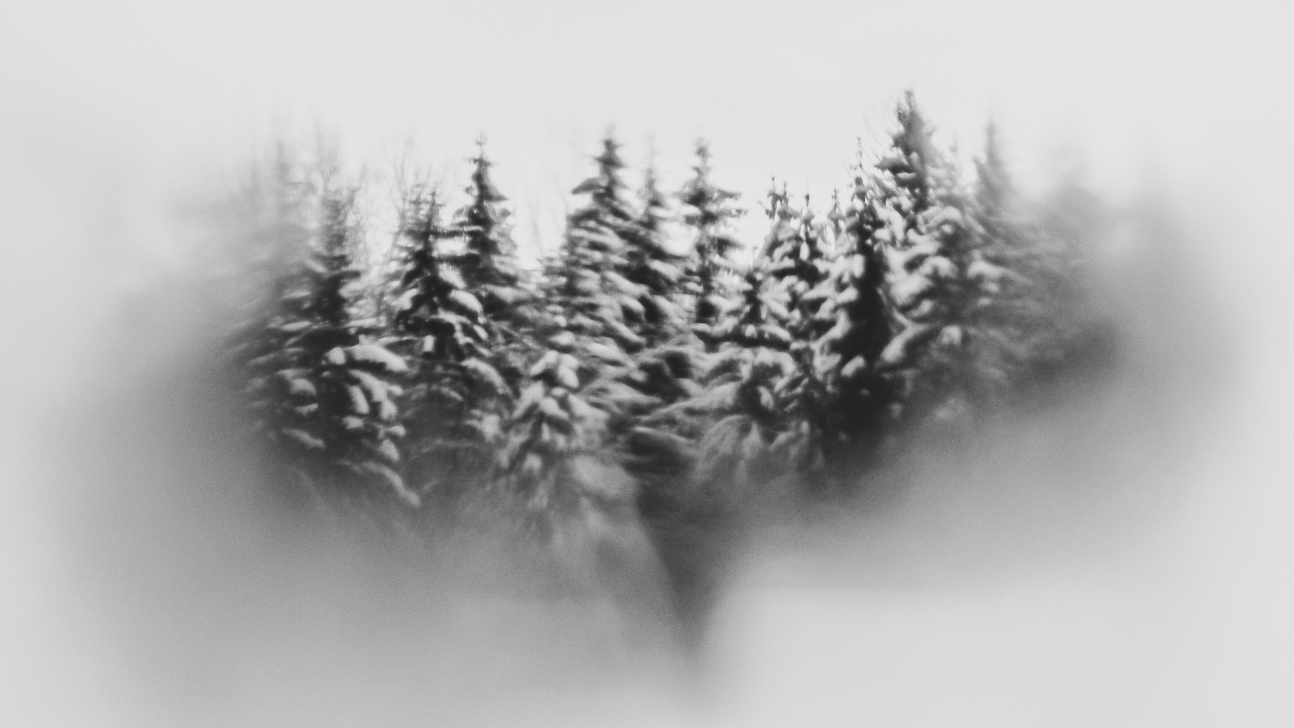 Black and white look. Фотограф