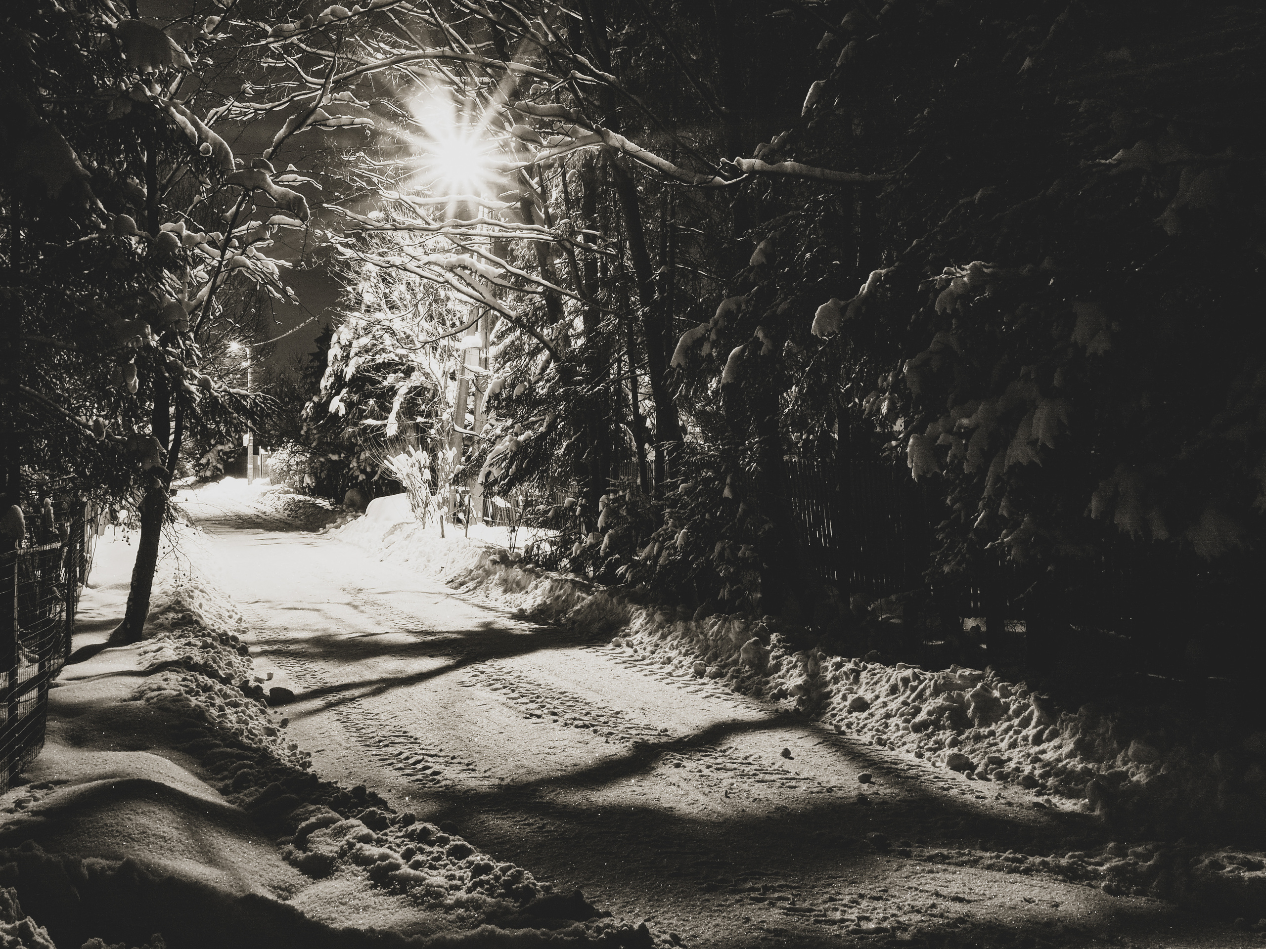 Black and white look. Фотограф