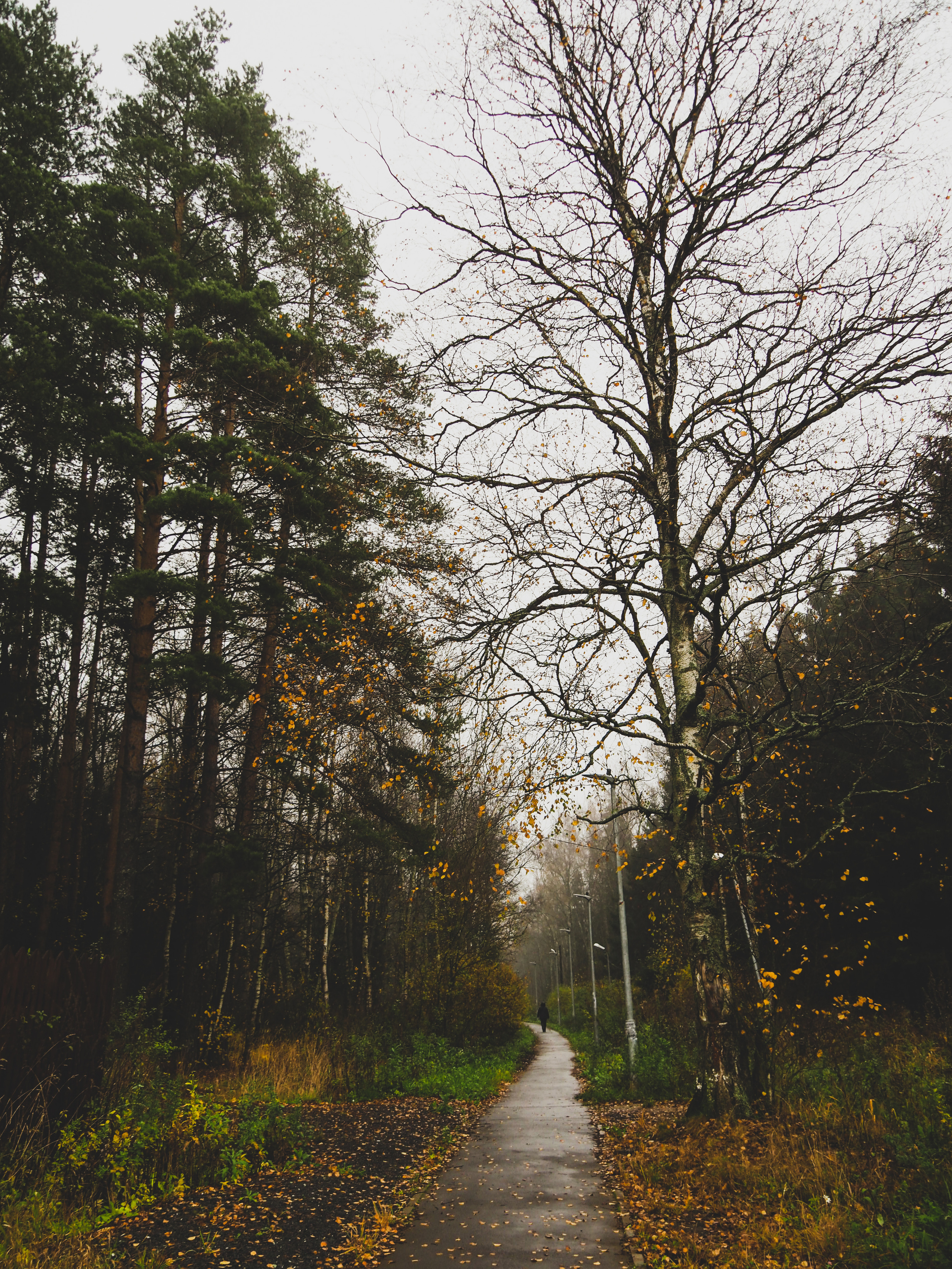 Not far from Moscow. Фотограф