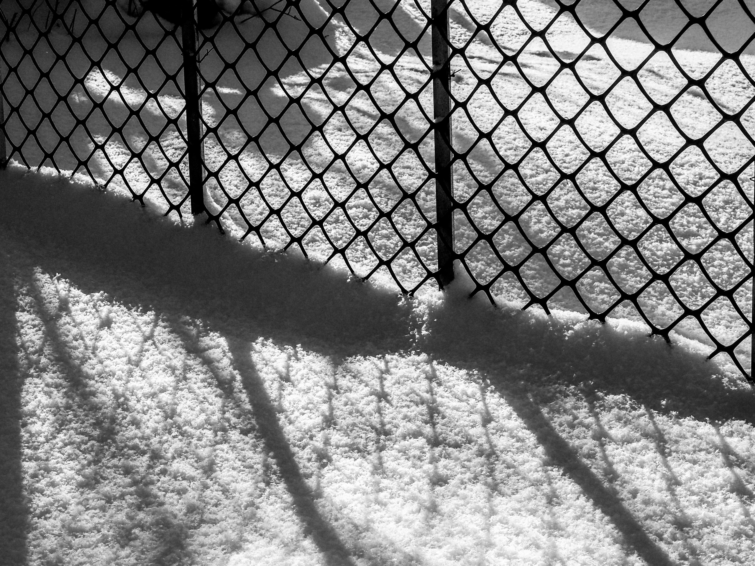 Black and white look. Фотограф