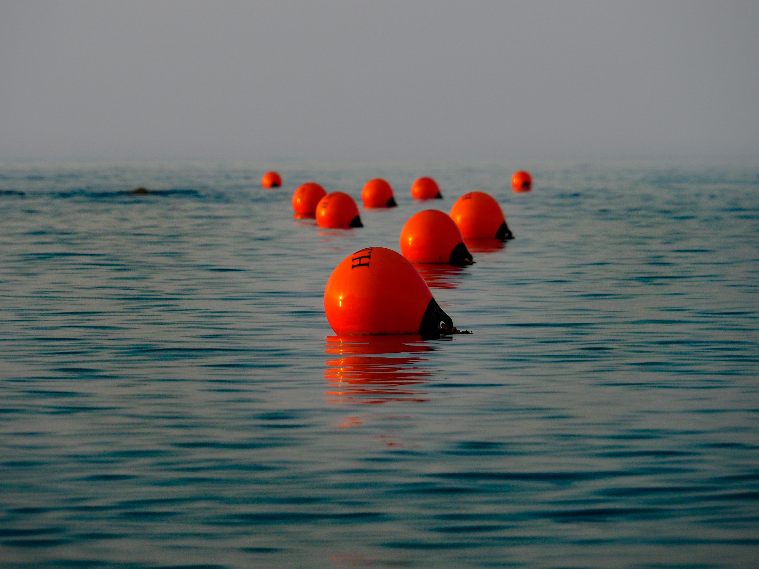 Limassol. City by the sea. Фотограф
