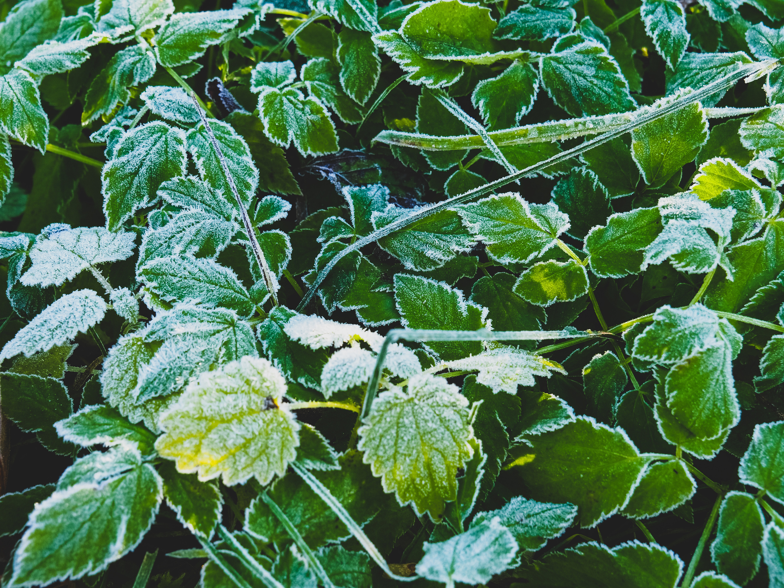 Not far from Moscow. Фотограф