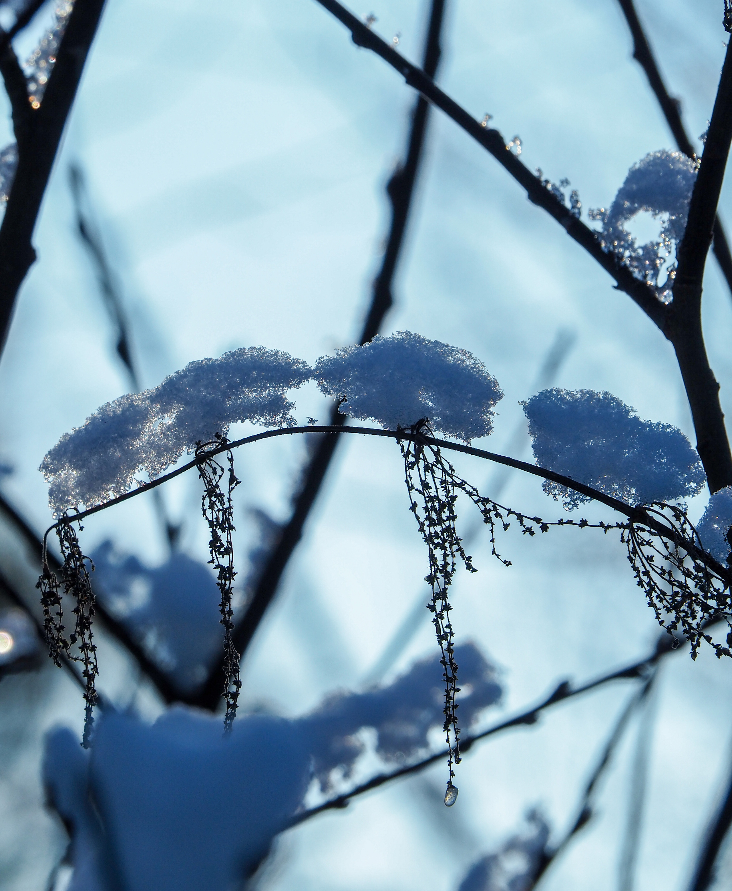 Not far from Moscow. Фотограф