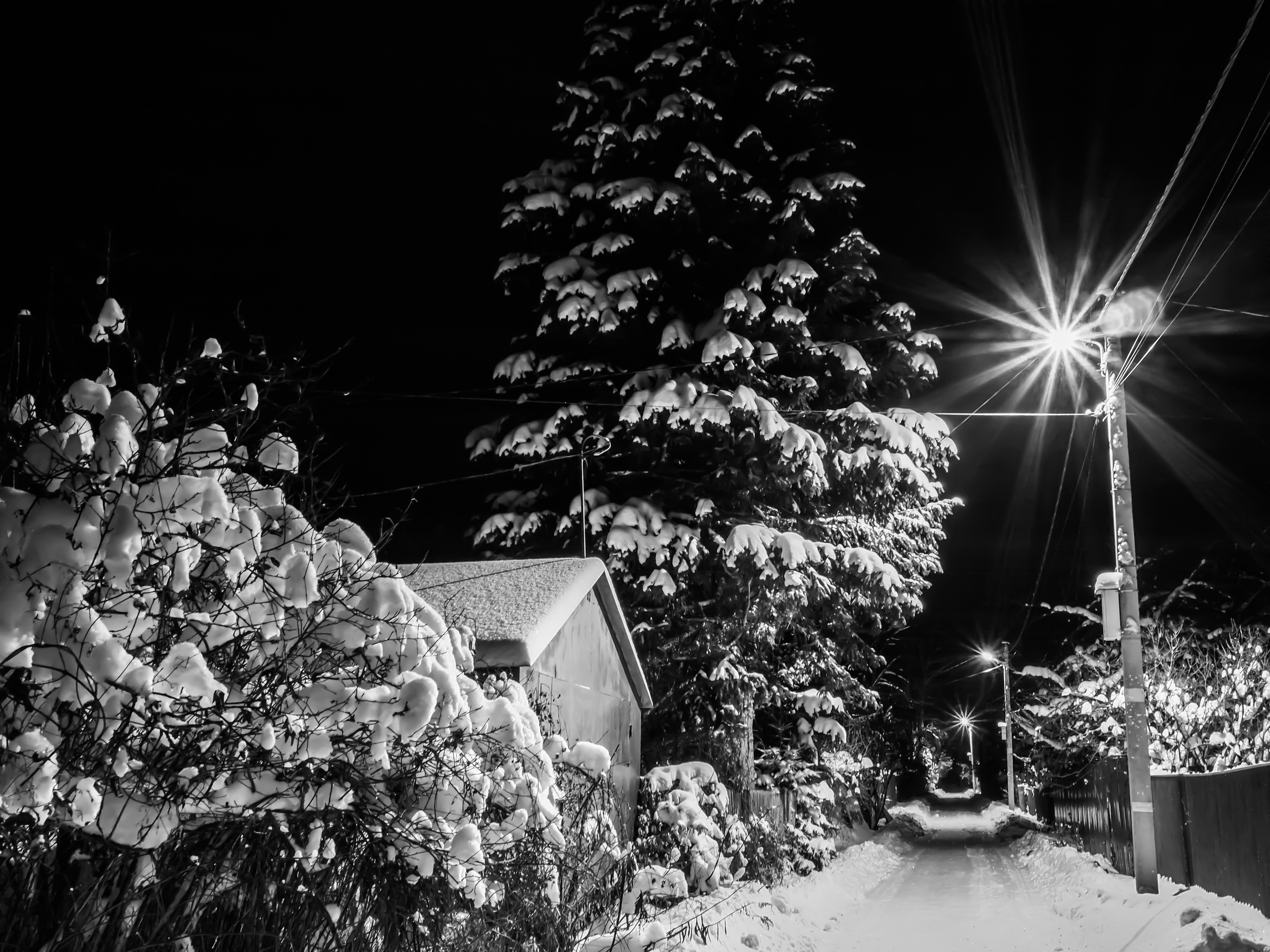 Black and white look. Фотограф