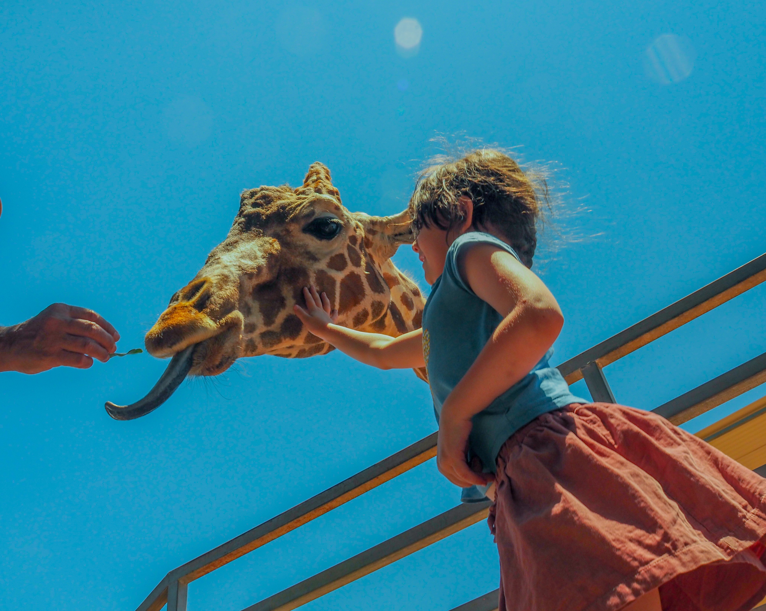 The world around me. Фотограф