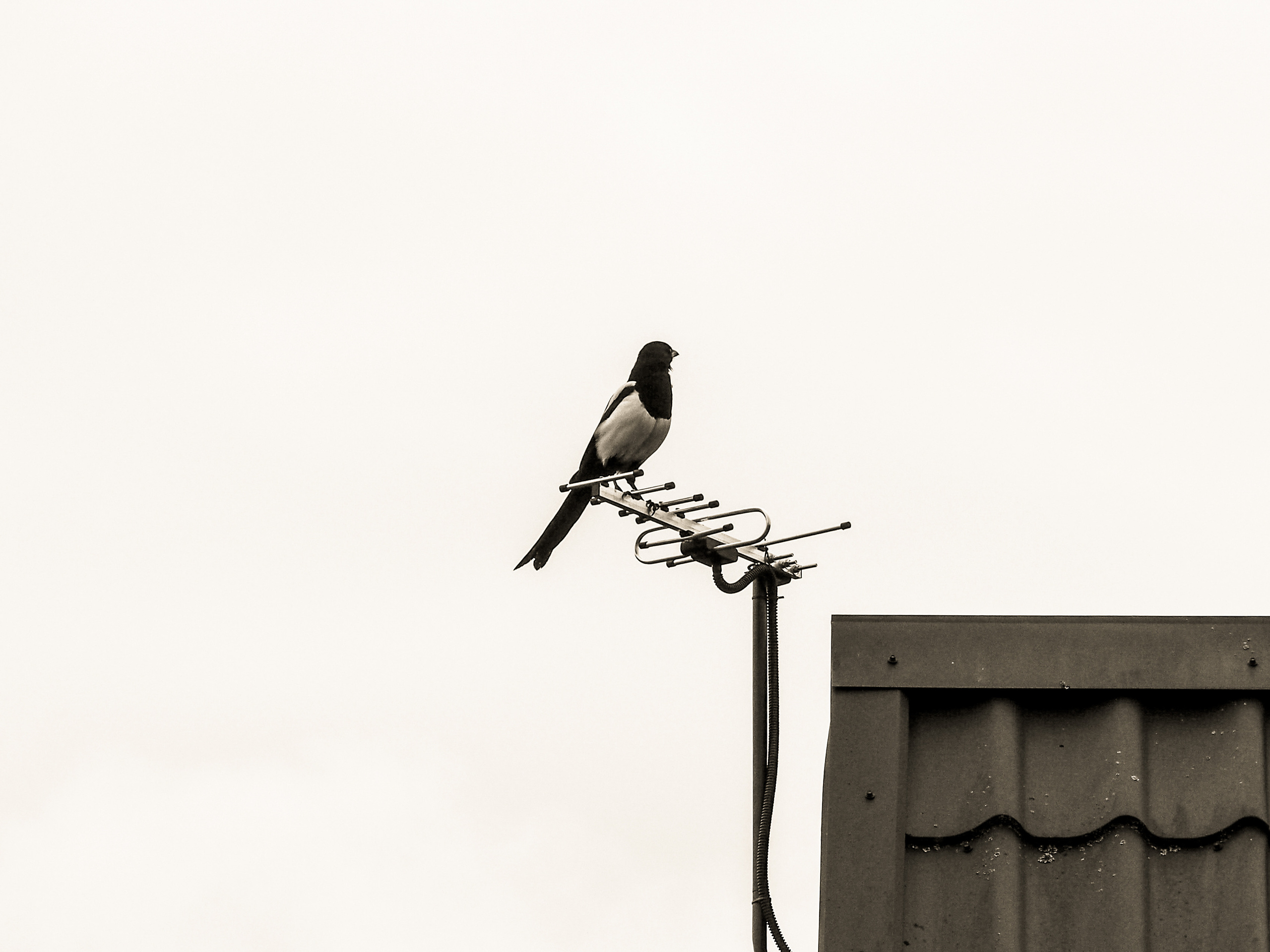 Not far from Moscow. Фотограф