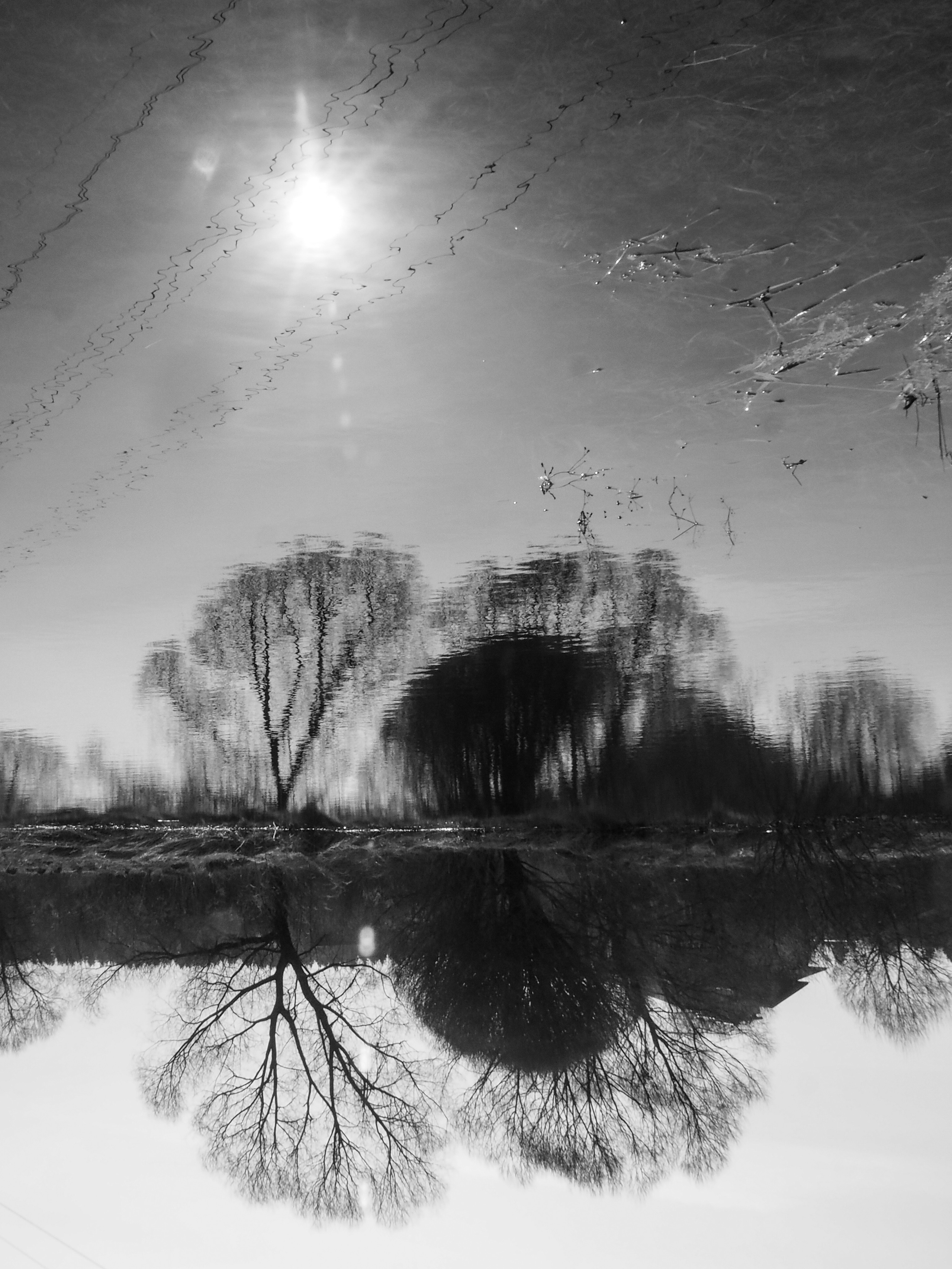 Black and white look. Фотограф