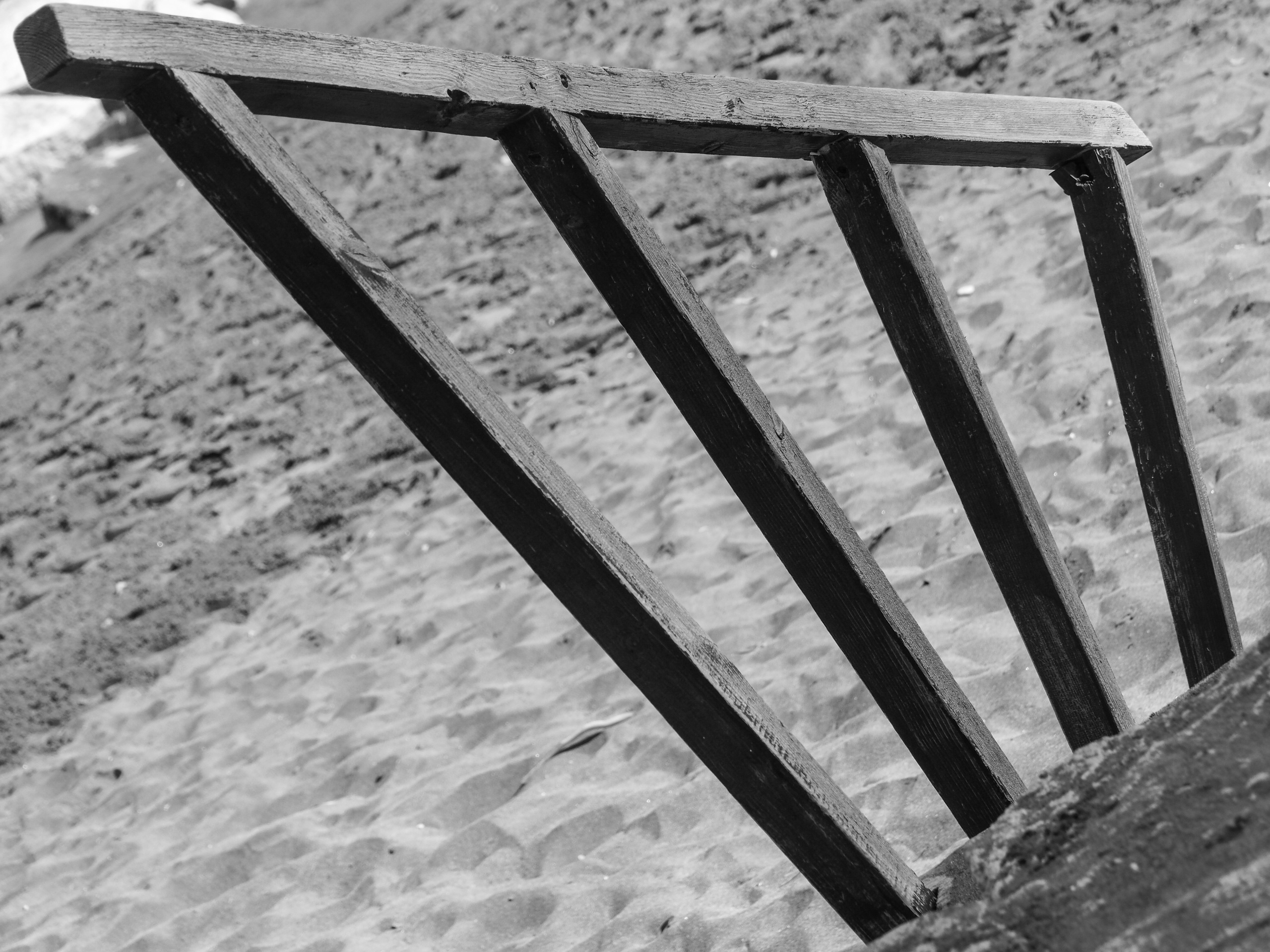 Black and white look. Фотограф