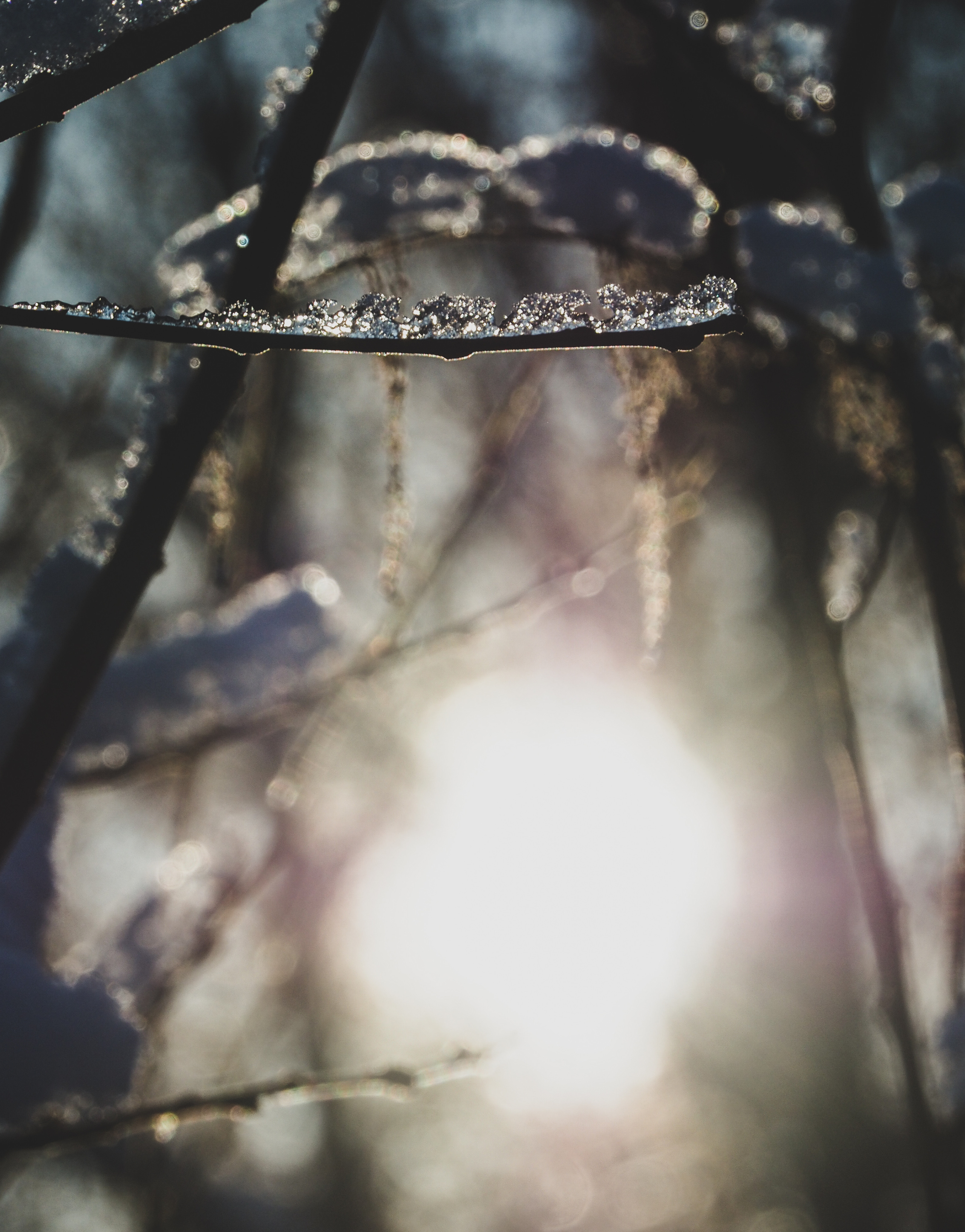 Not far from Moscow. Фотограф