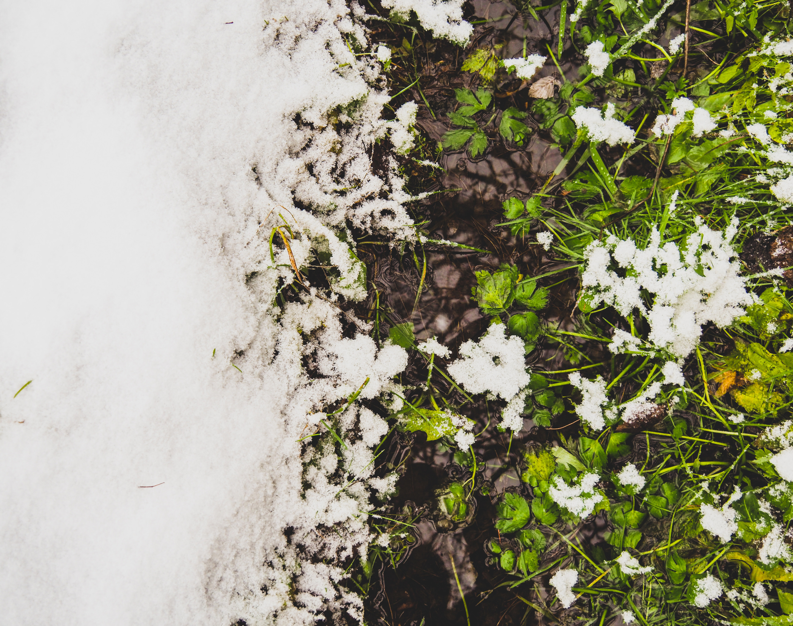 Not far from Moscow. Фотограф