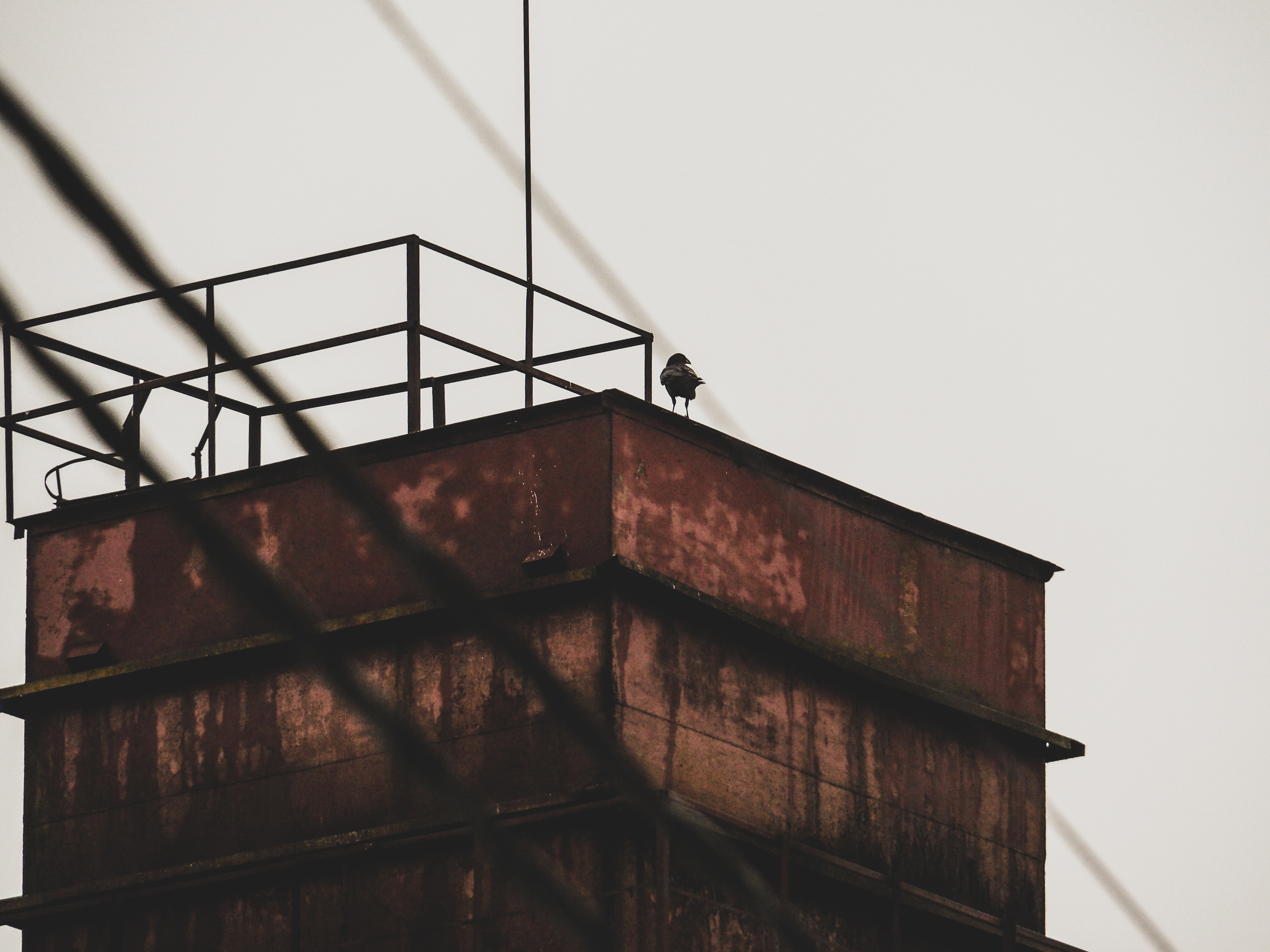 Not far from Moscow. Фотограф