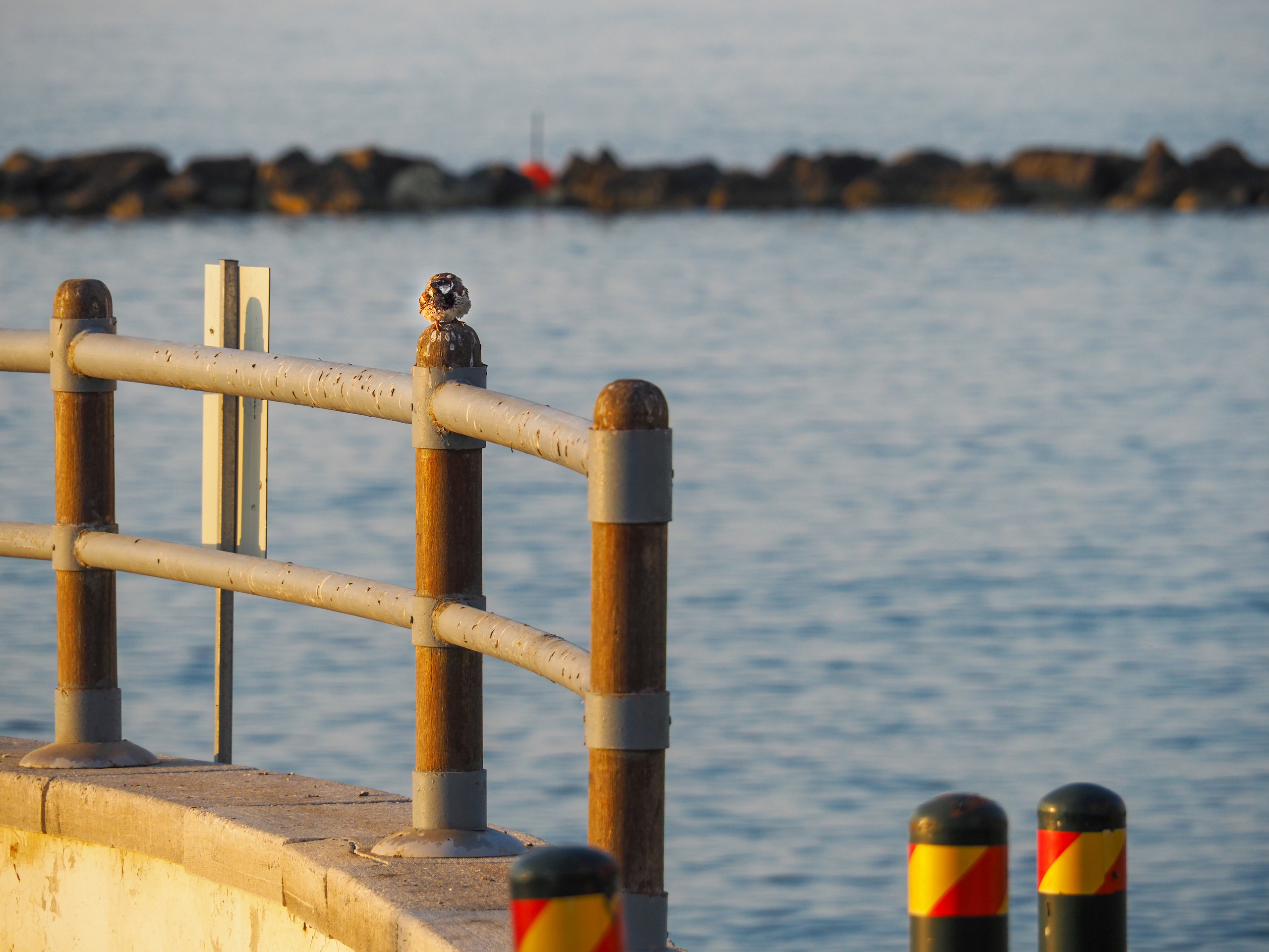 Limassol. City by the sea. Фотограф