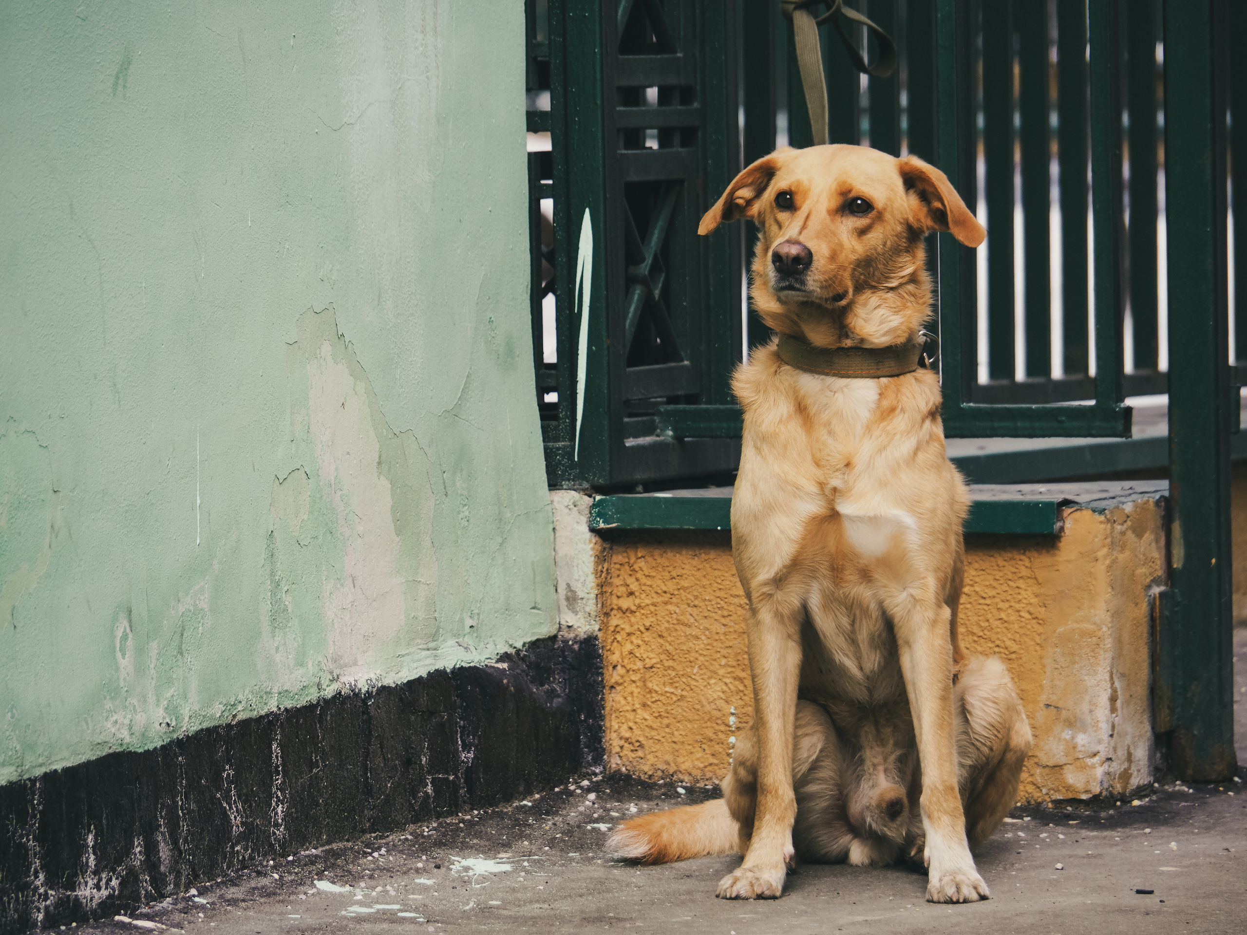 Moscow and its inhabitants. Фотограф