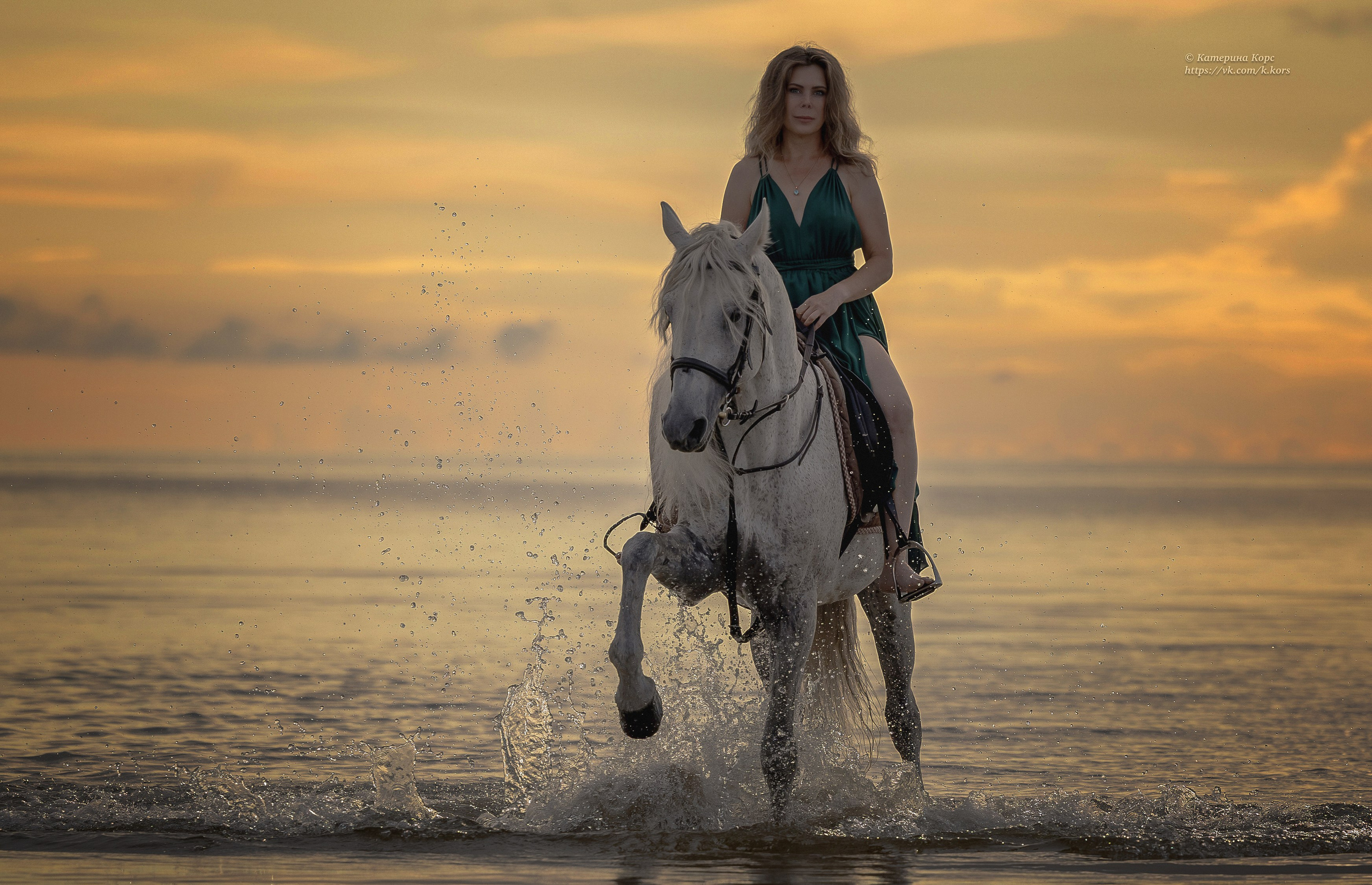 Лошади и люди. Главная