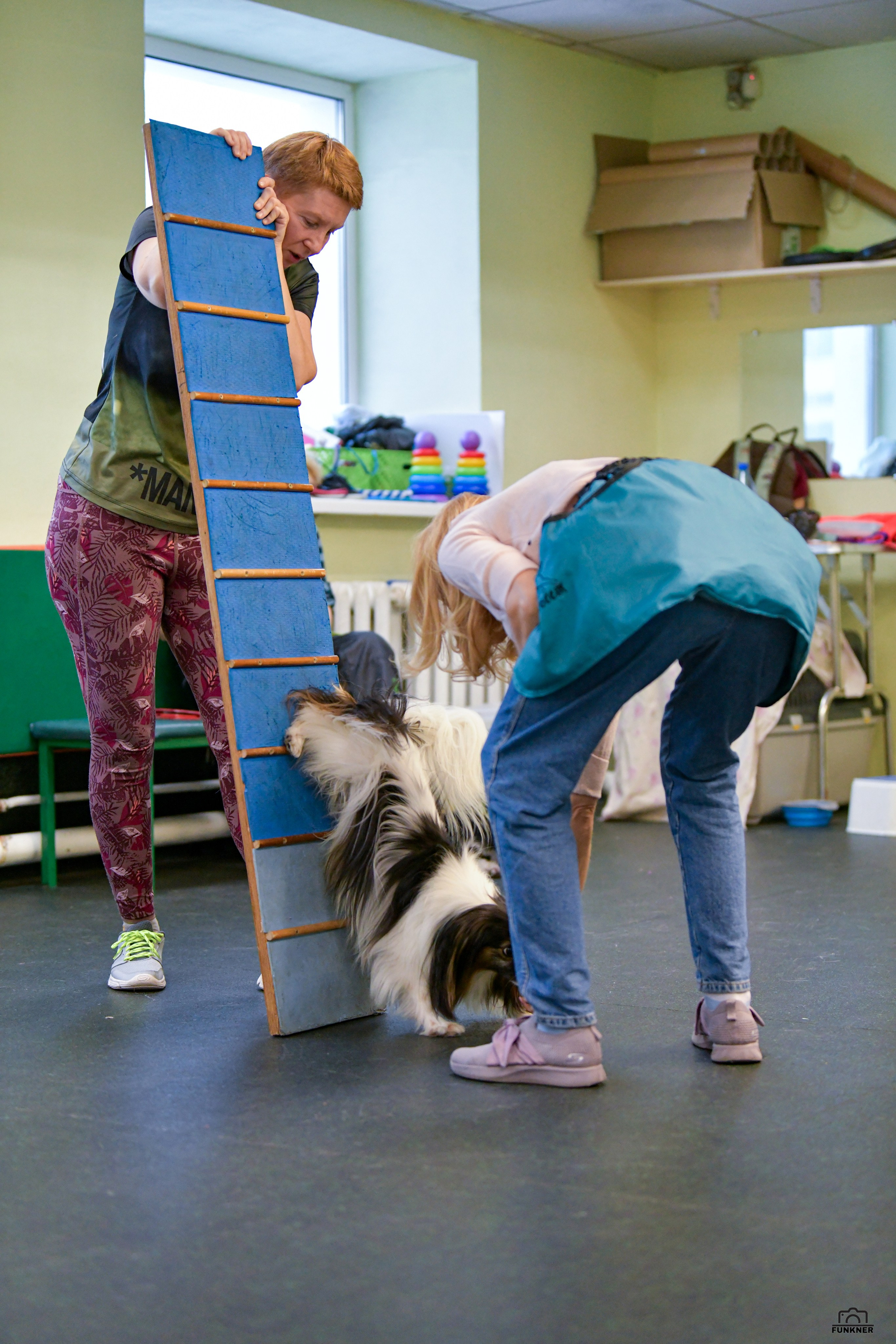 Кинологический клуб «Бодрый хвост». Свой взгляд через объектив