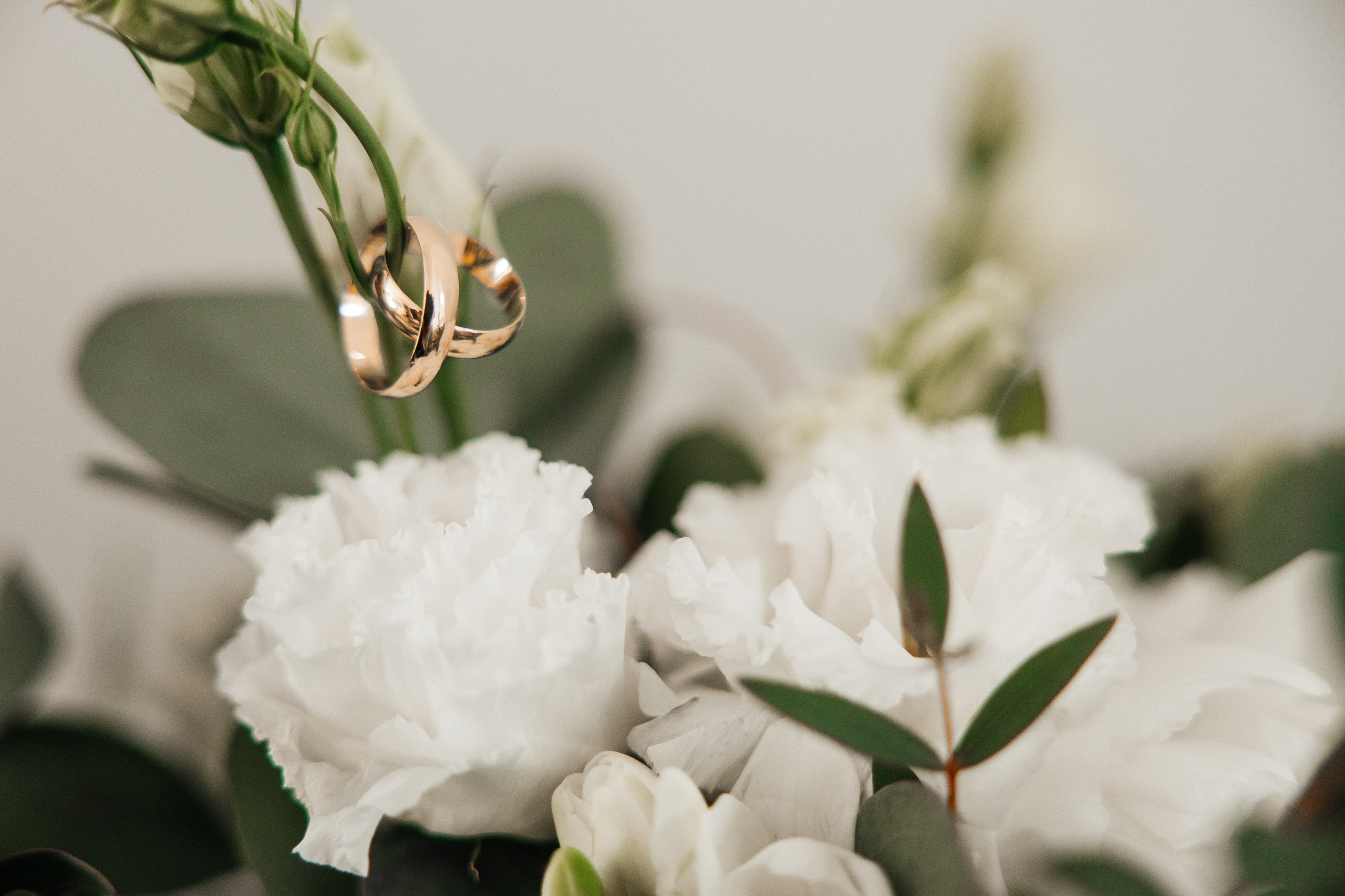 Свадебная фотосессия. Свадебный фотограф в Иваново Гитарина Черняева