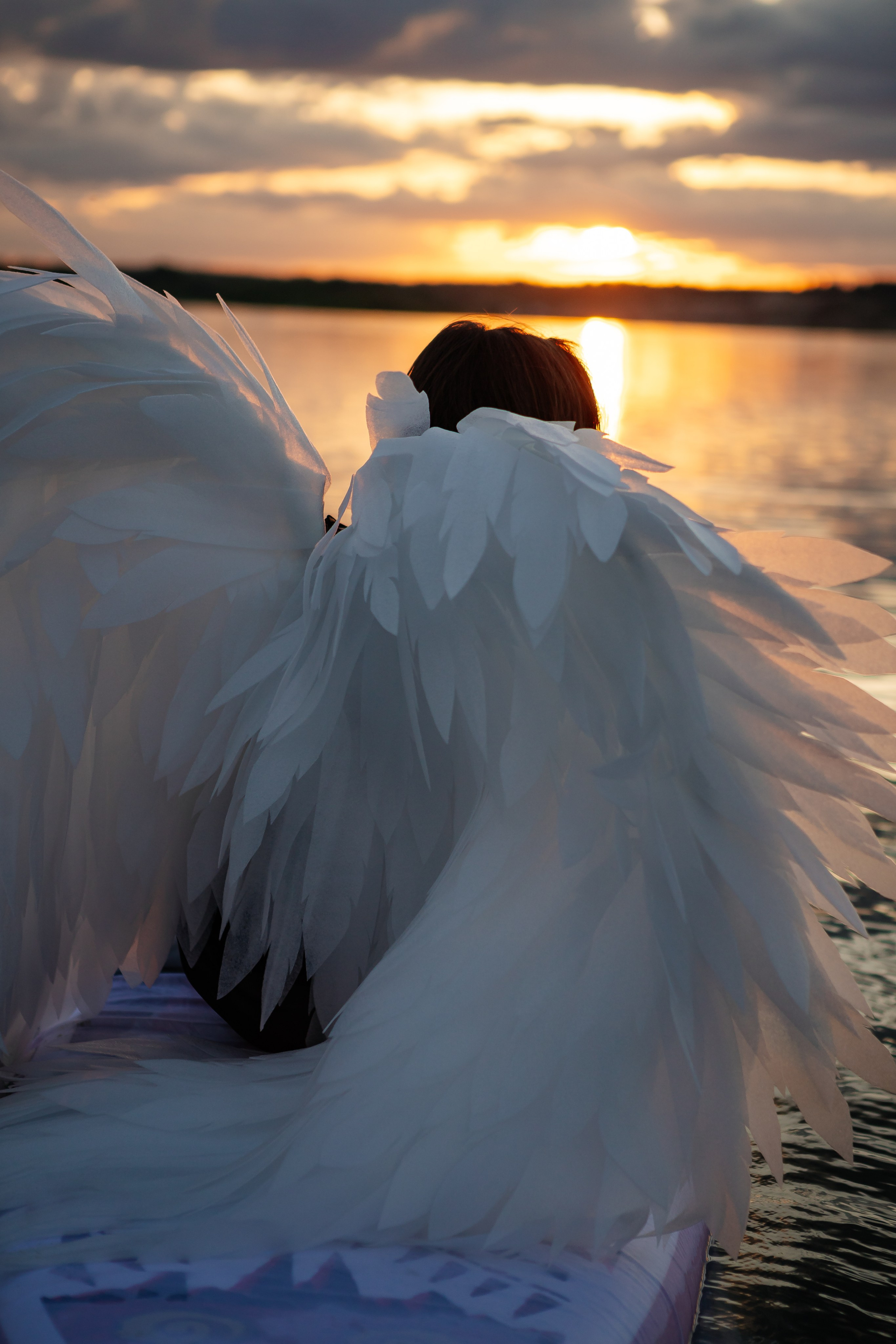 Лето.Крылья. Фотограф Калуга