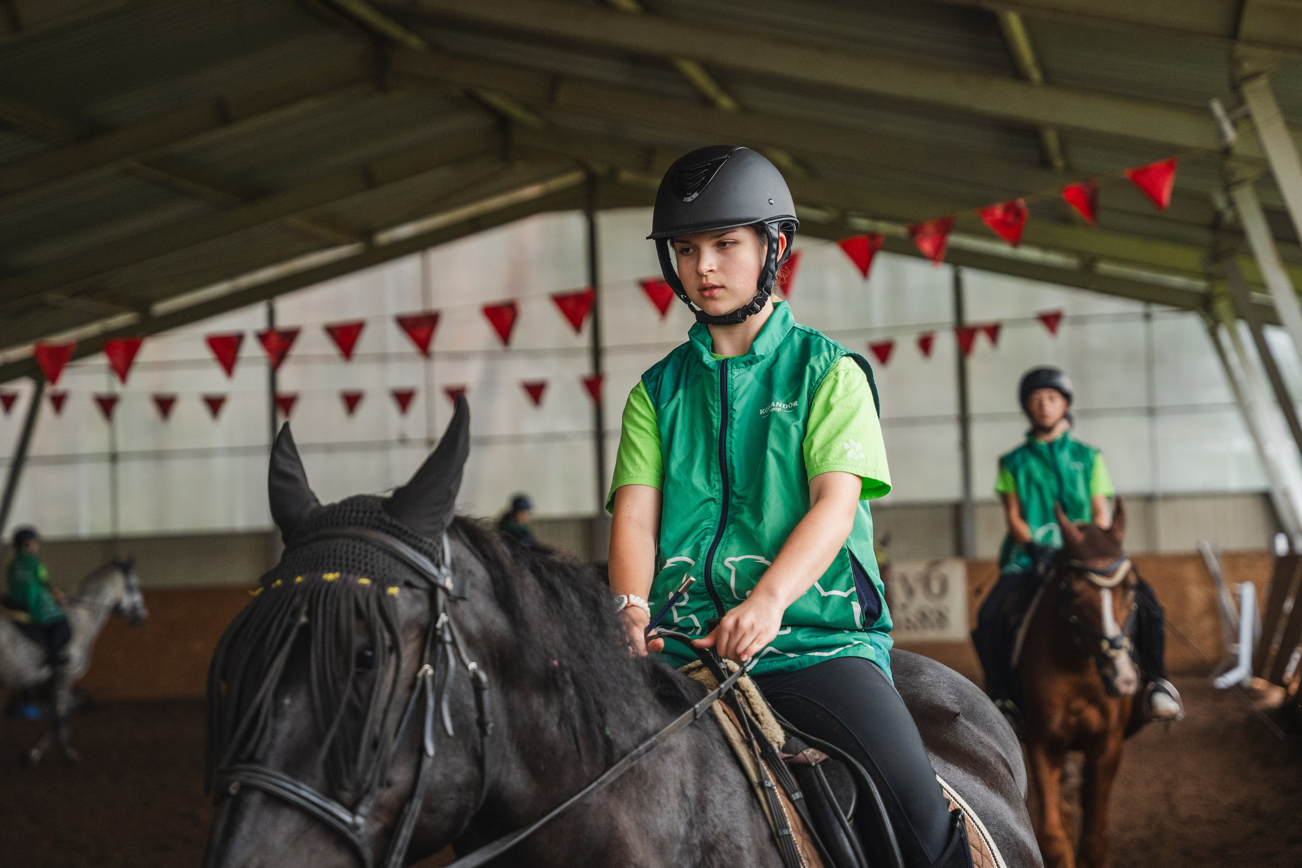 Конное занятие. Главная