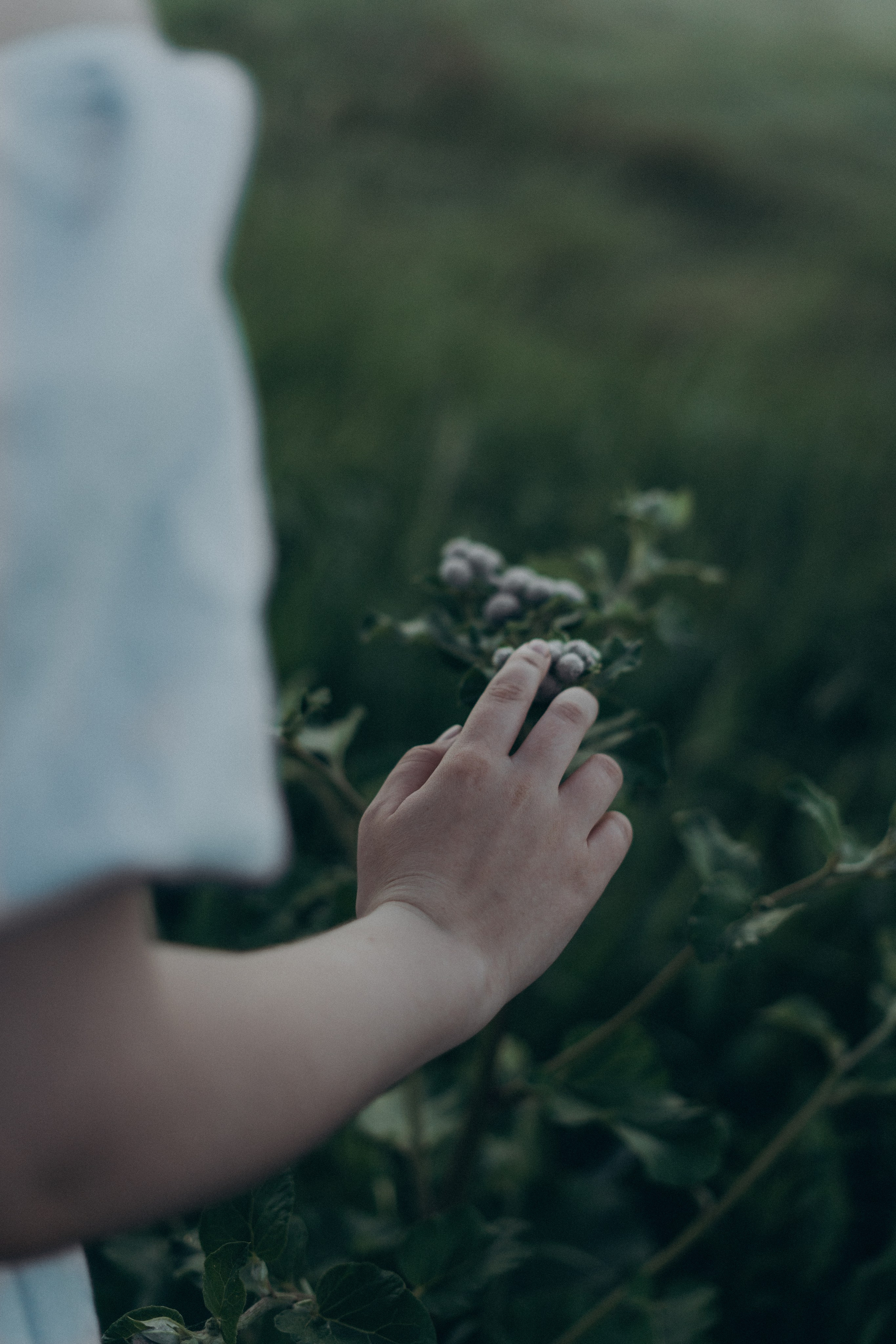 Индивидуальные портреты. Фотограф в Москве Юлия Резвова