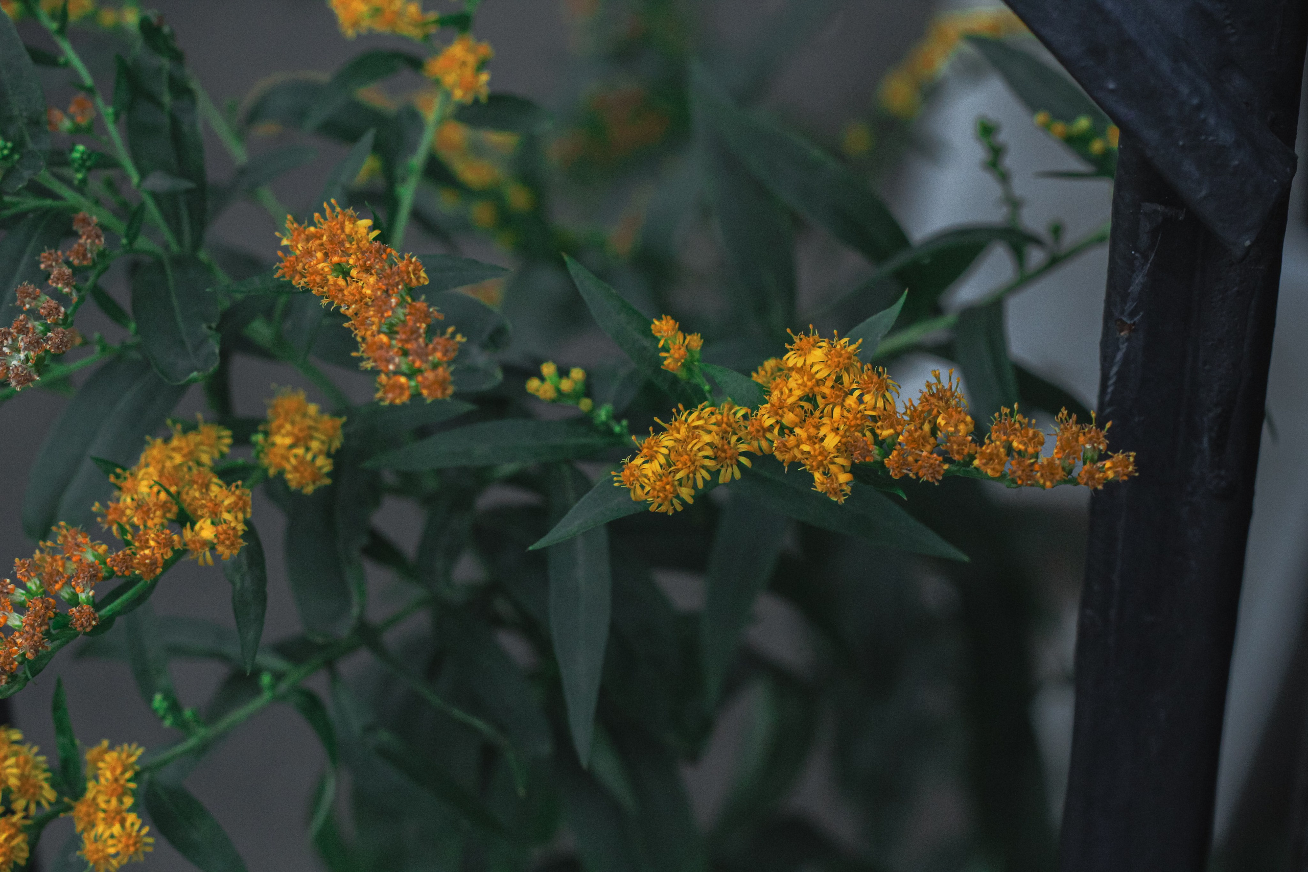 Природа. Фотограф Москва, портрет, стрит, репортаж. Художественная фотосессия