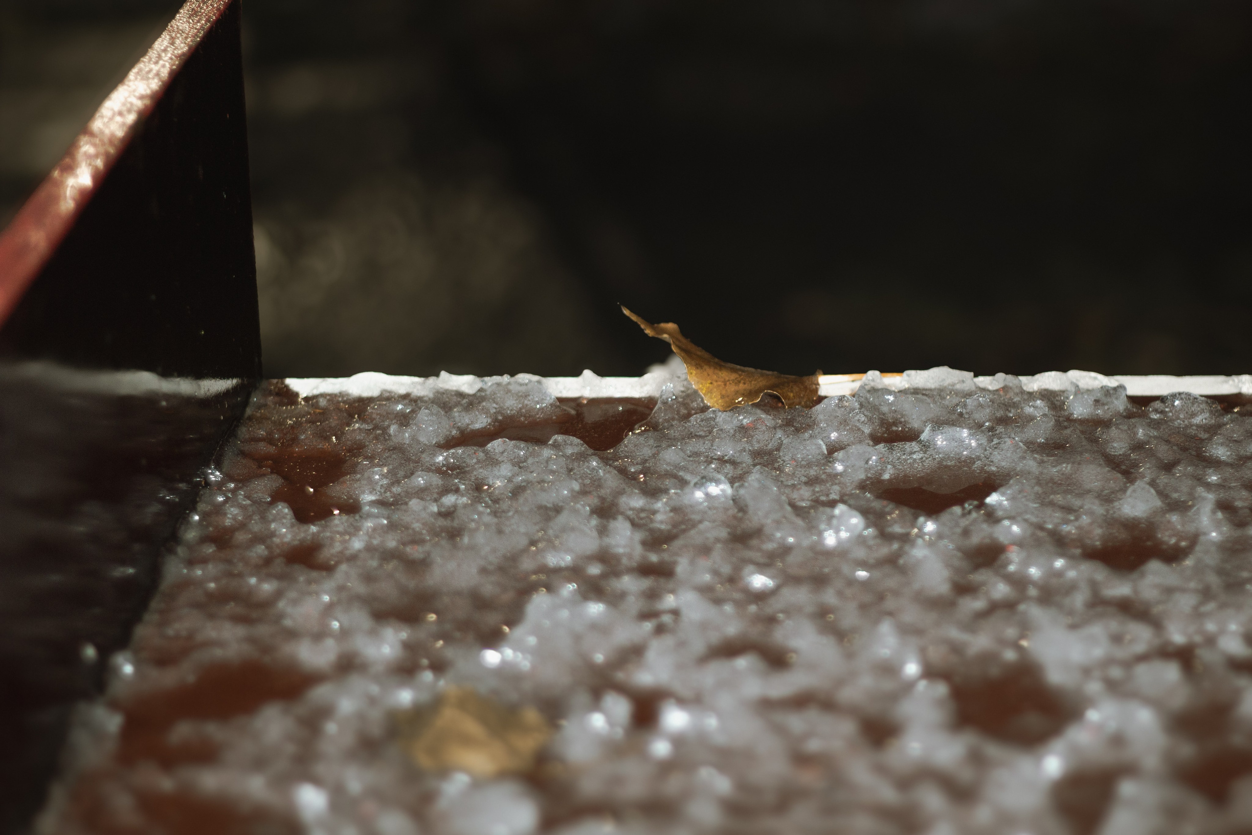 Осень-зима. Фотограф Москва, портрет, стрит, репортаж. Художественная фотосессия