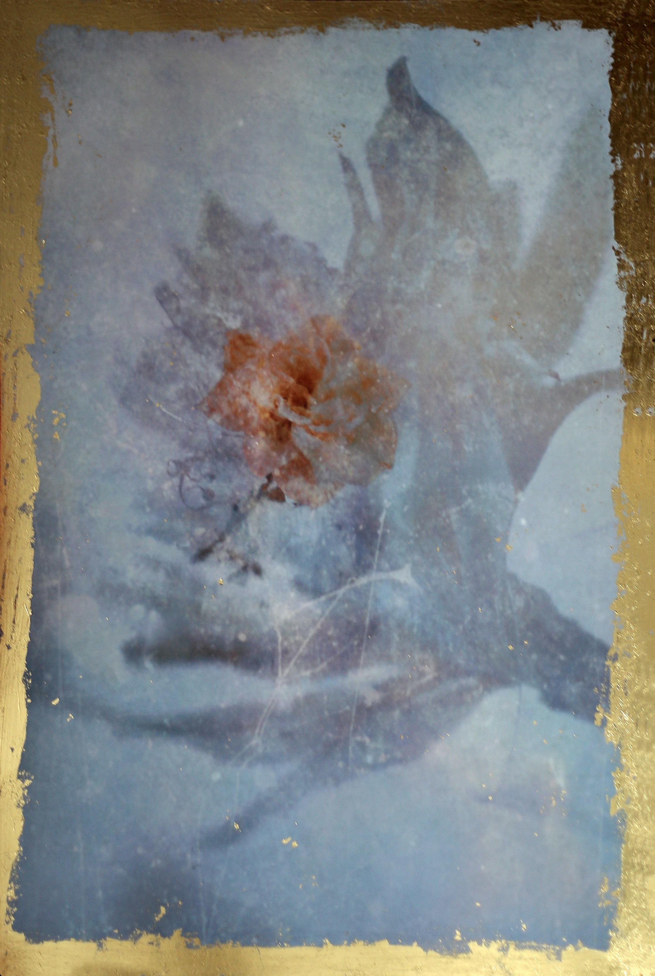 Эфемерность. Элина Михальцова, визуальный артист, фотограф в Екатеринбурге