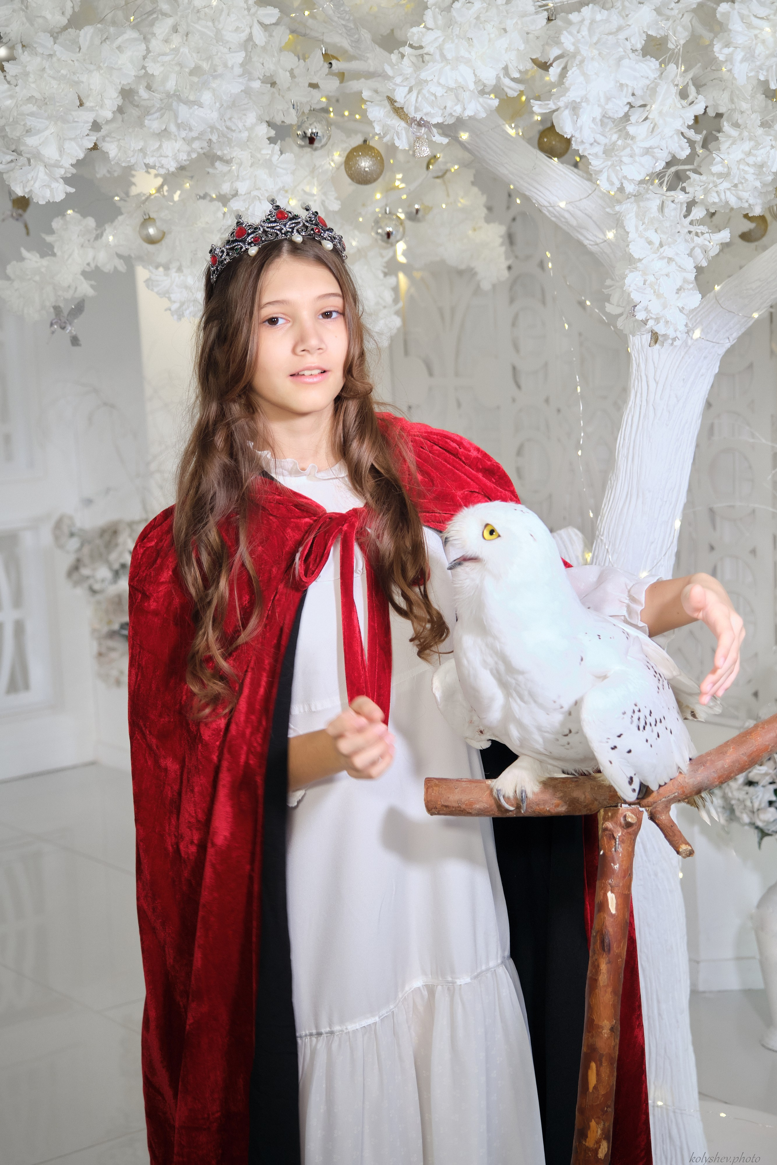 фотосессия с совой в москве