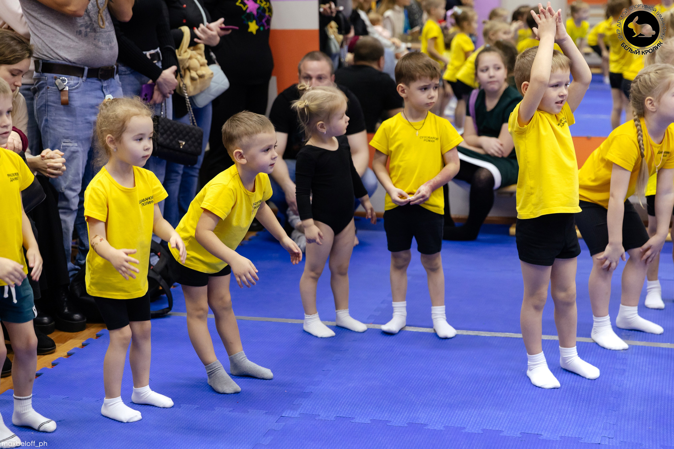 Белый кролик. Соревнования. Семейный фотограф — Макс Белогрудов