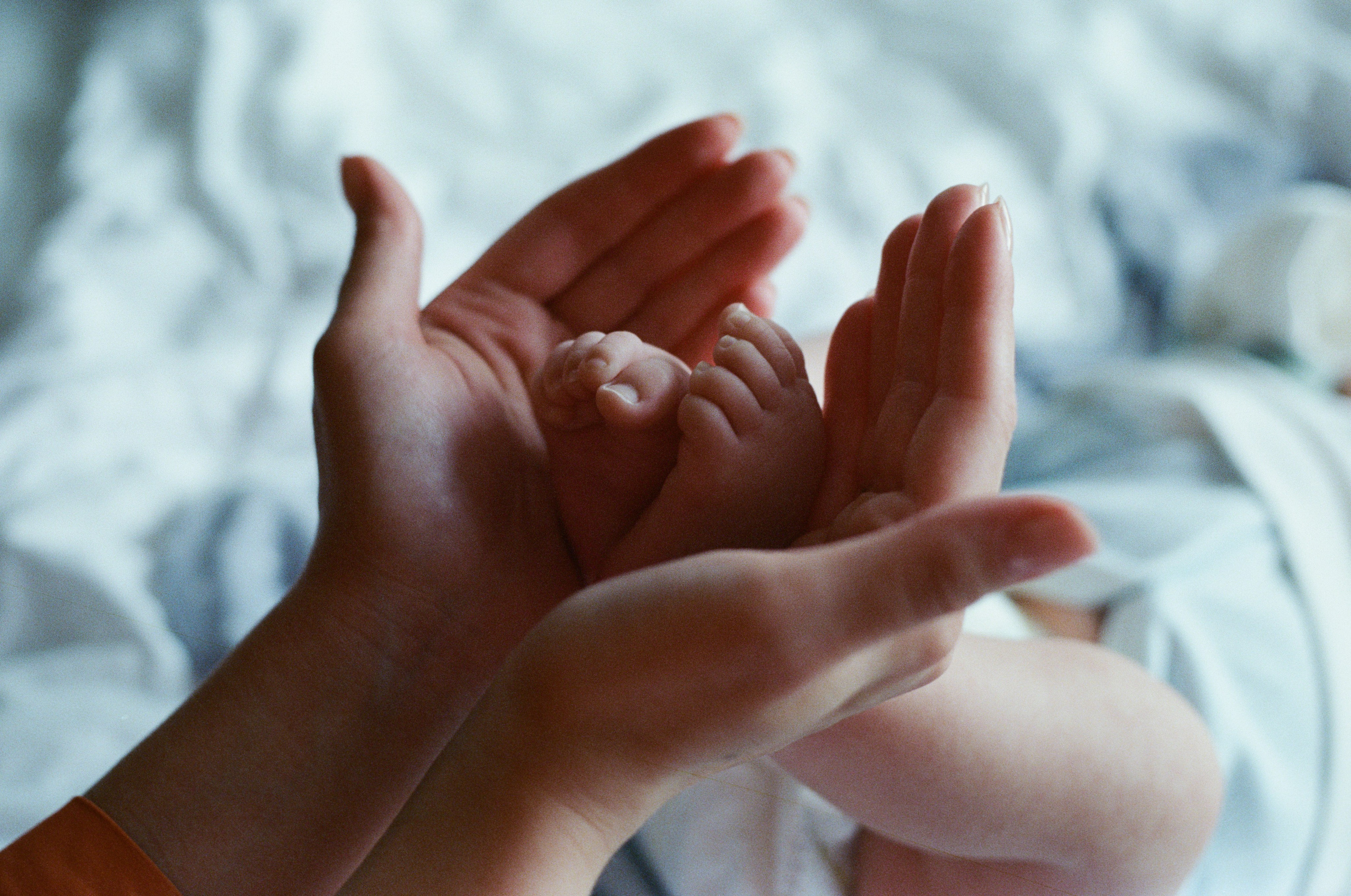 Герман, Елена и Марк. В преддверии Нового года. Настя Оленченко, портретный/семейный фотограф на цифру и плёнку Москва