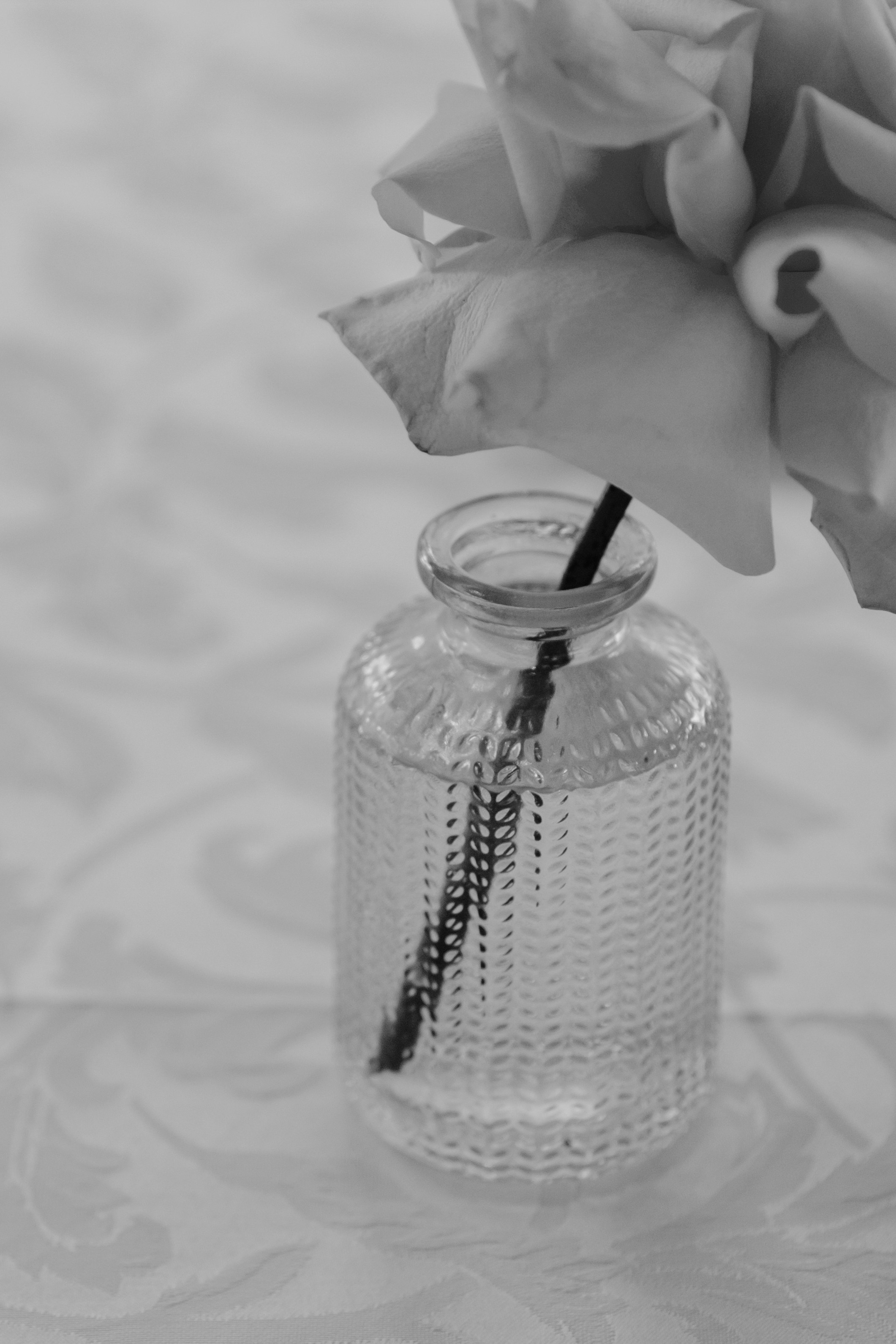 Настя | Максим