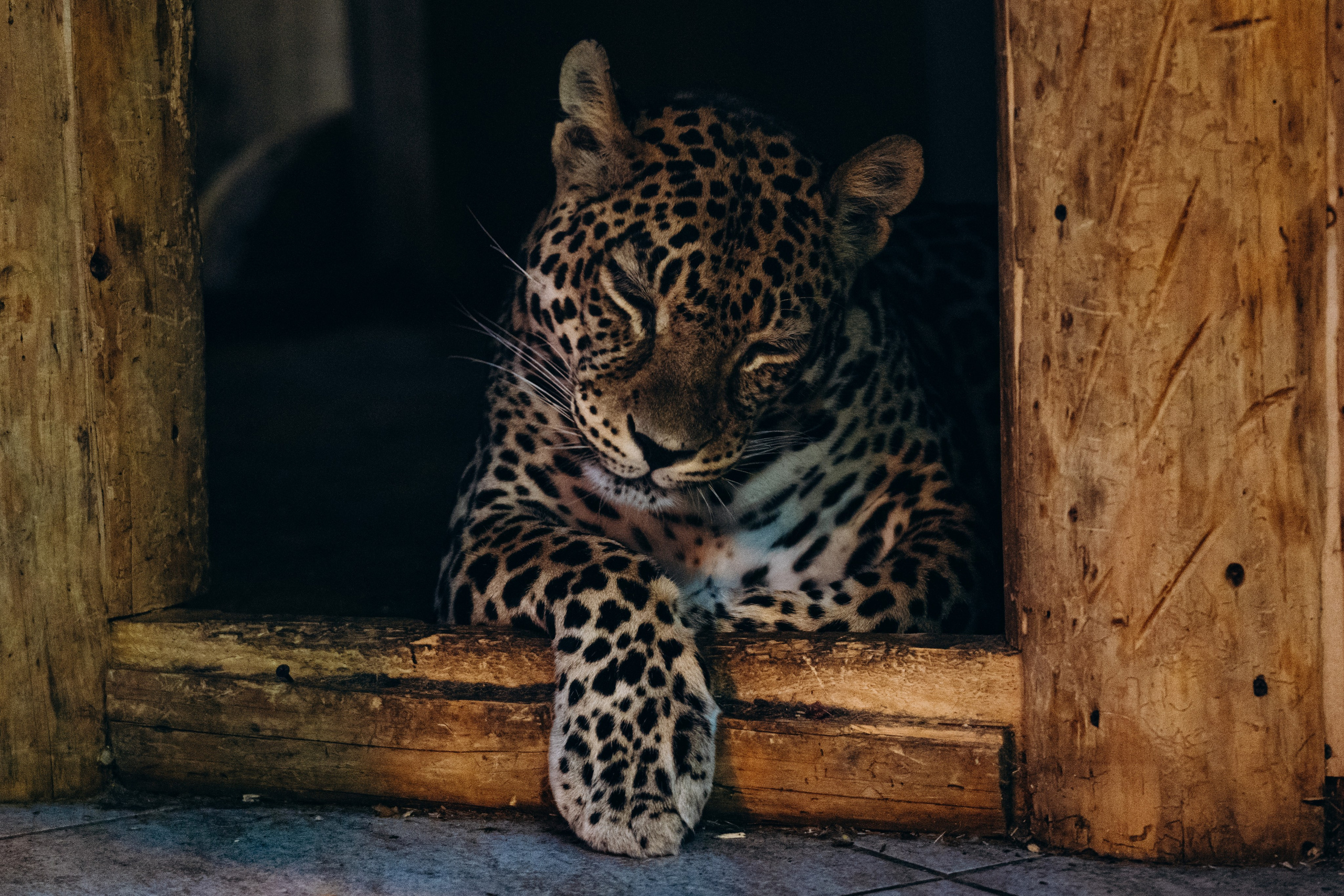 СЕВЕР. Event фотограф Степанова Александра