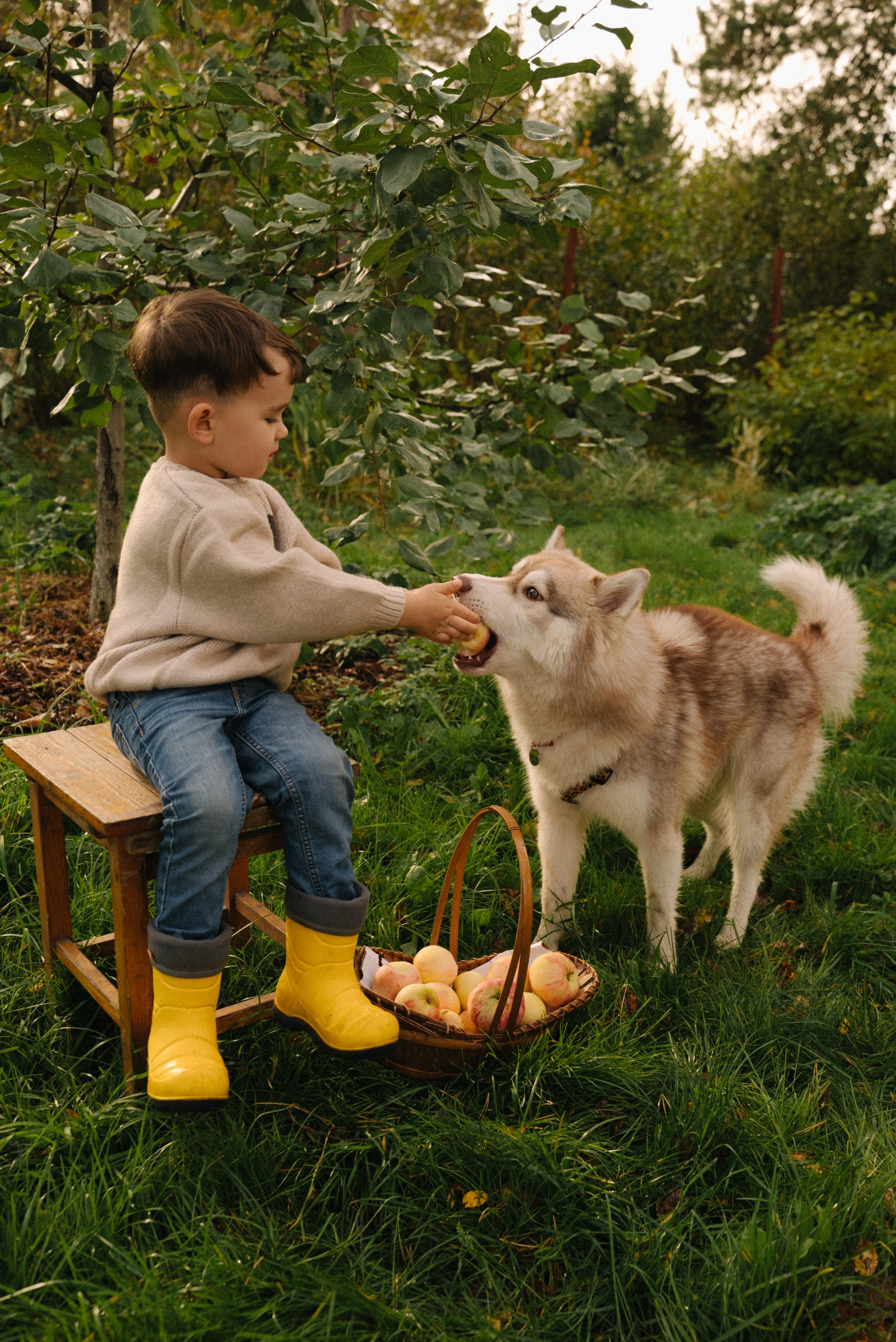 На даче. Ваш свадебный и семейный фотограф