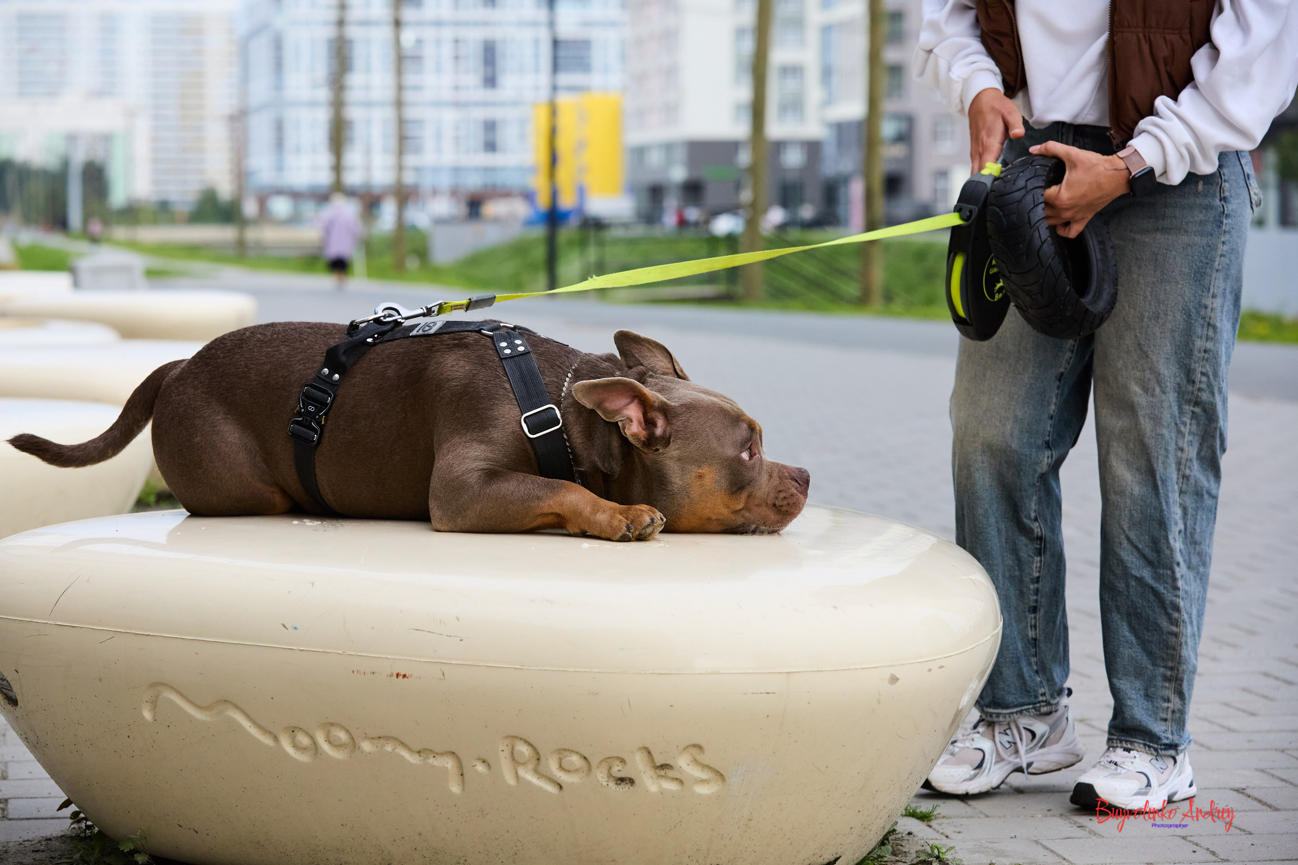 Проект фотопрогулка с хвостиком. Buyvolenko Andrey