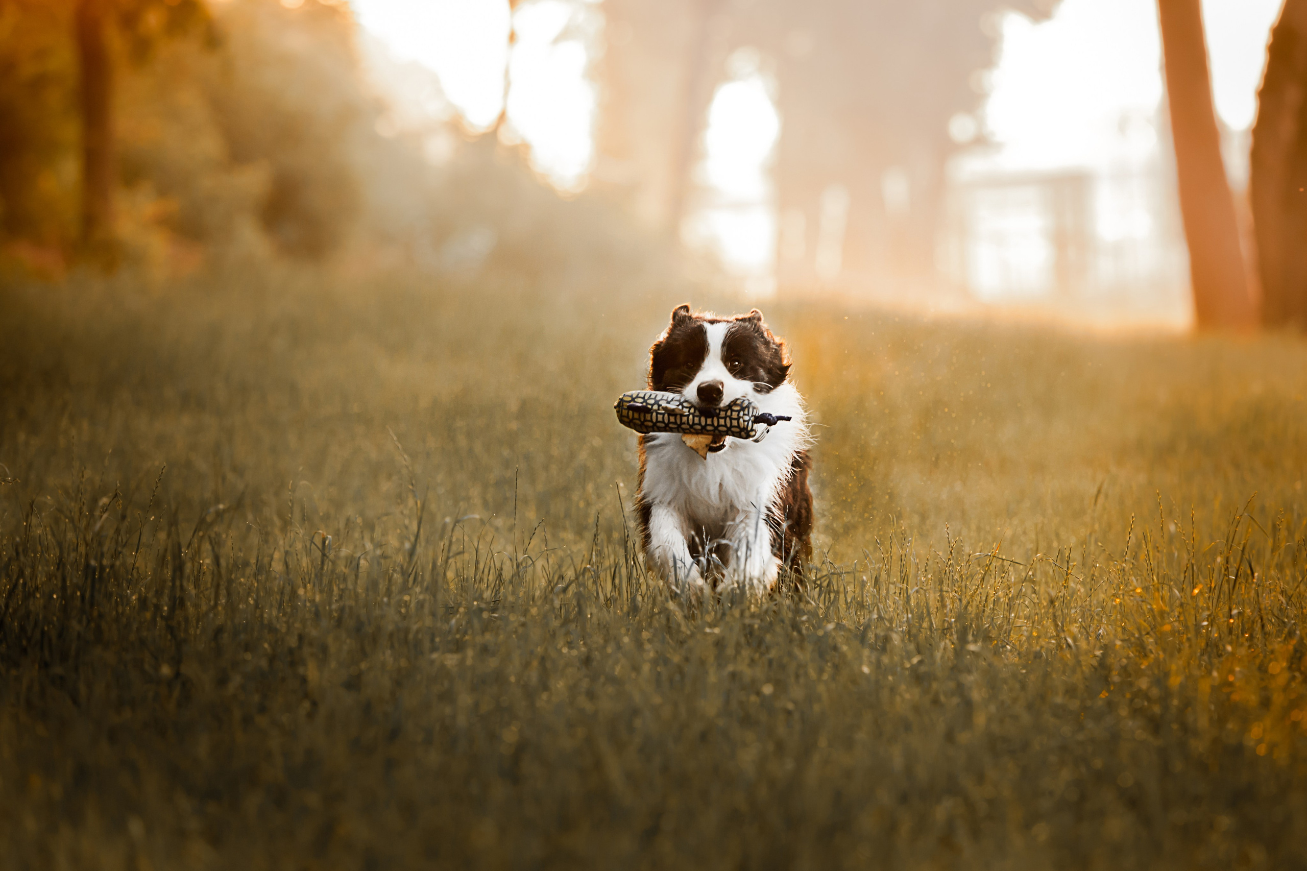 Сочный рассвет, на который решились. О нас
