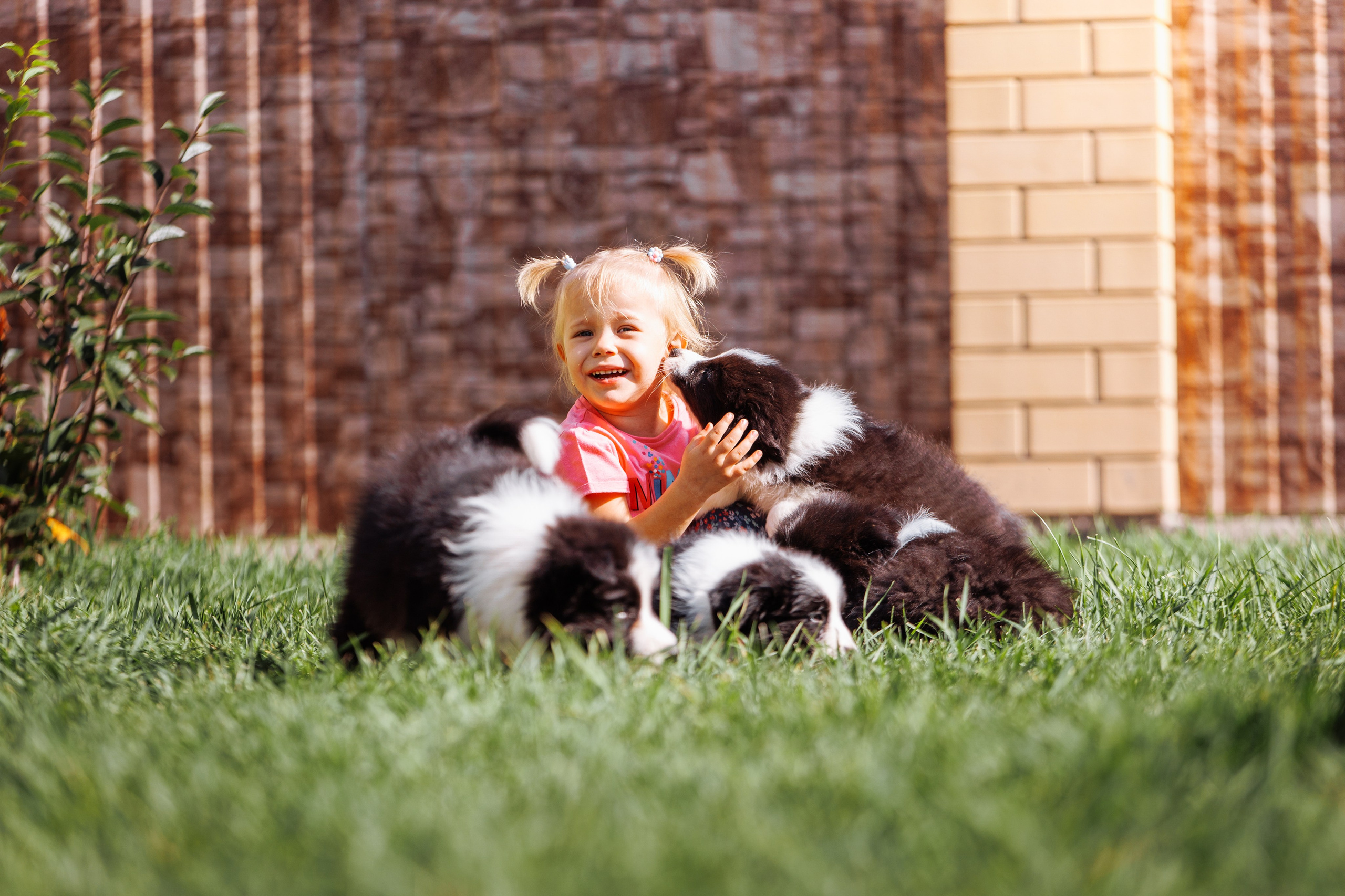 МММ — маленькое мягкое милое. О нас