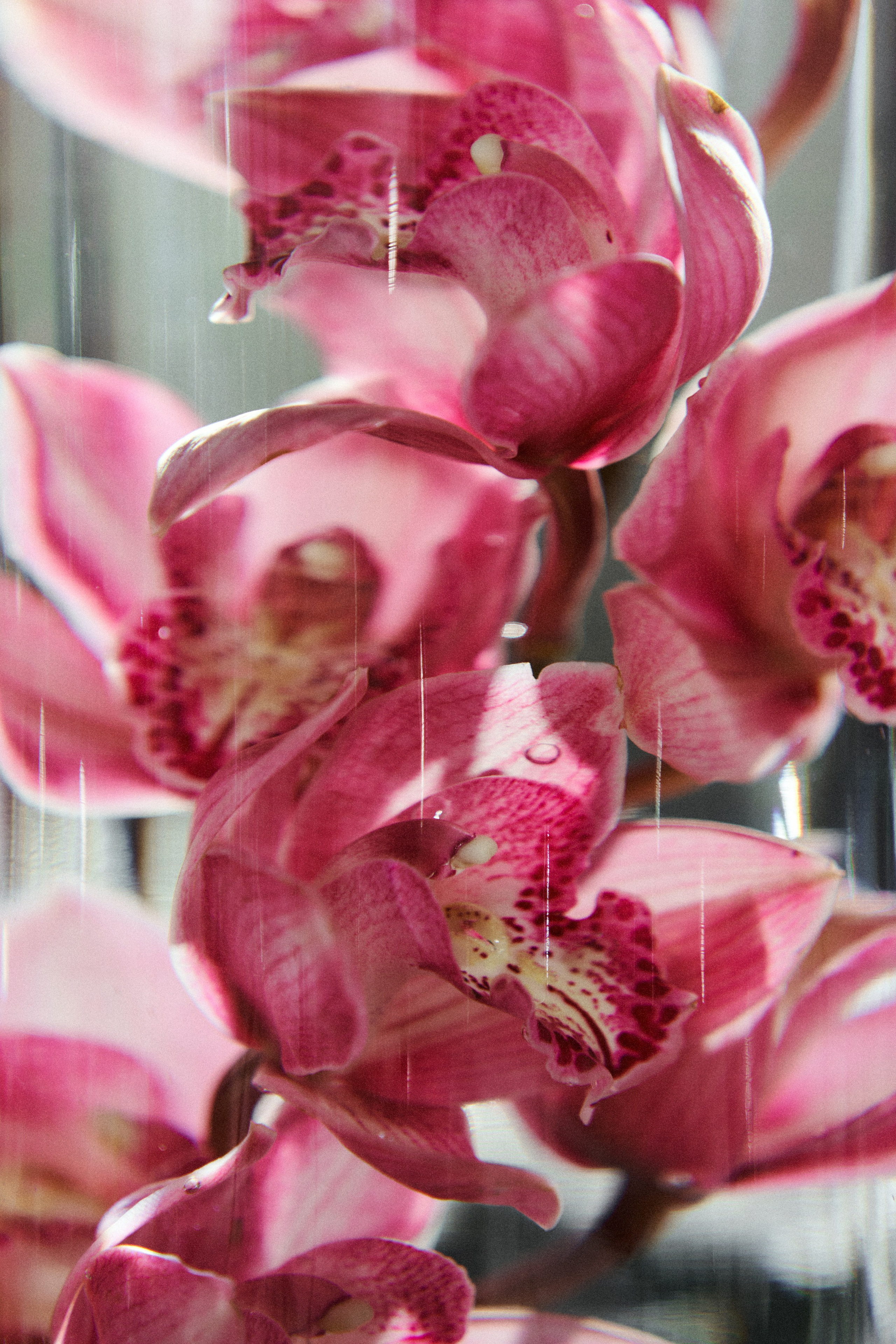 VLAD & VIKA. Свадебный фотограф Жучкова Елизавета в Москве