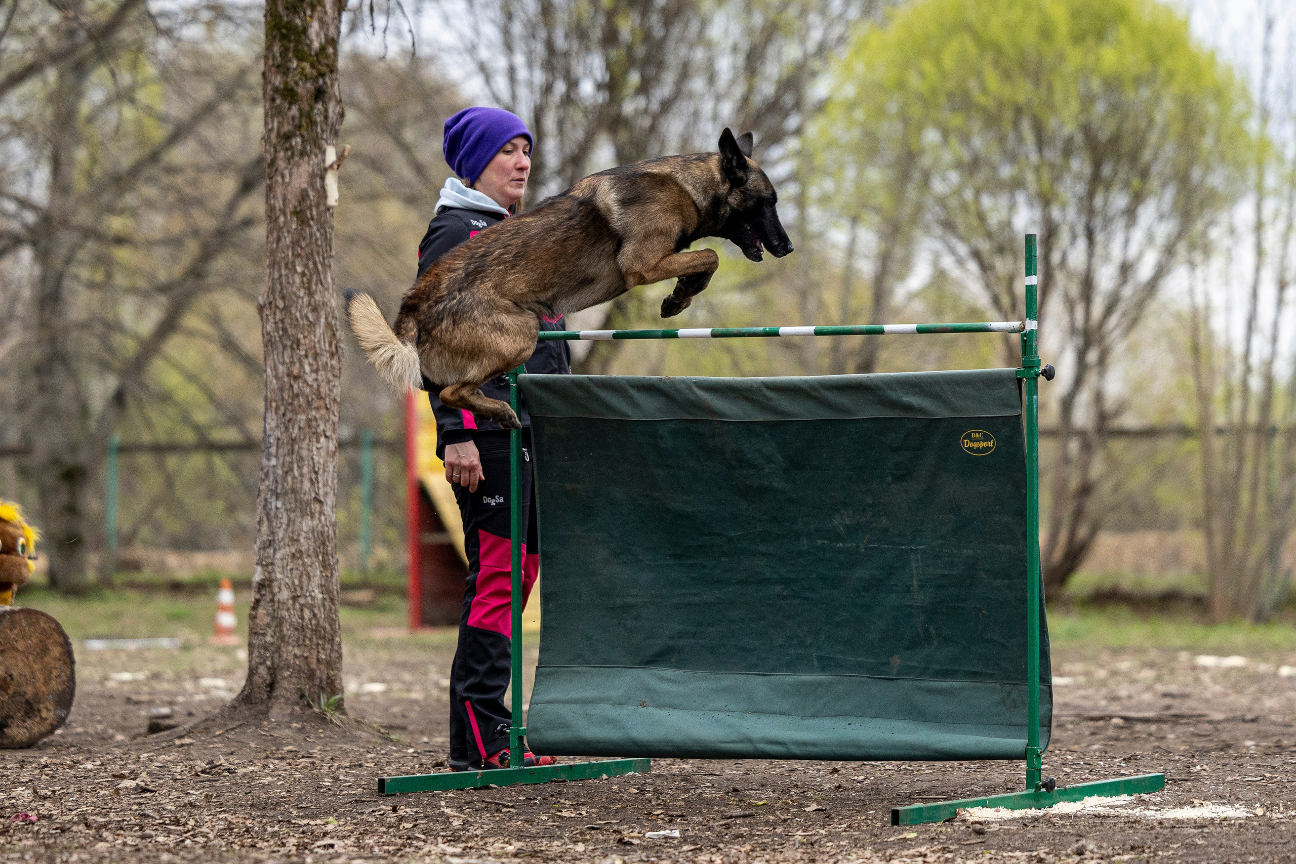 Квалификационные состязания по мондьорингу г. Вологда 11.05.24. Фотограф-анималист Анна Маринич