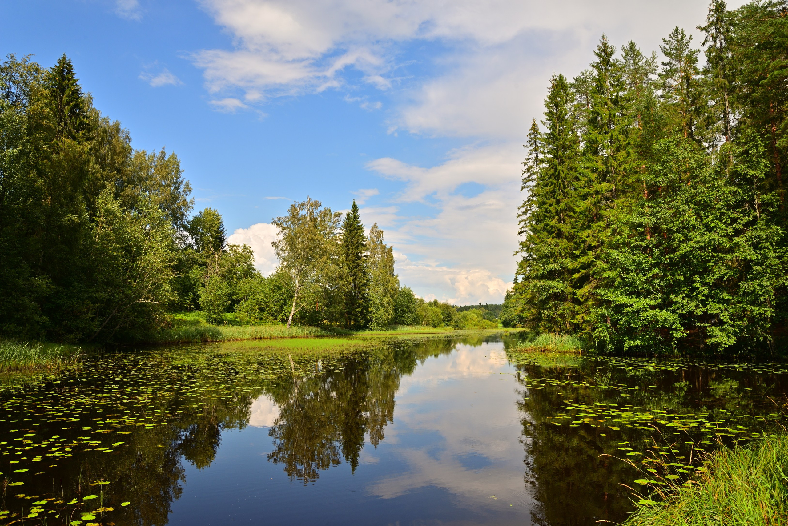 Пейзажи. Фотограф Максим Мицун. Портрет, свадьба, репортаж, каталог