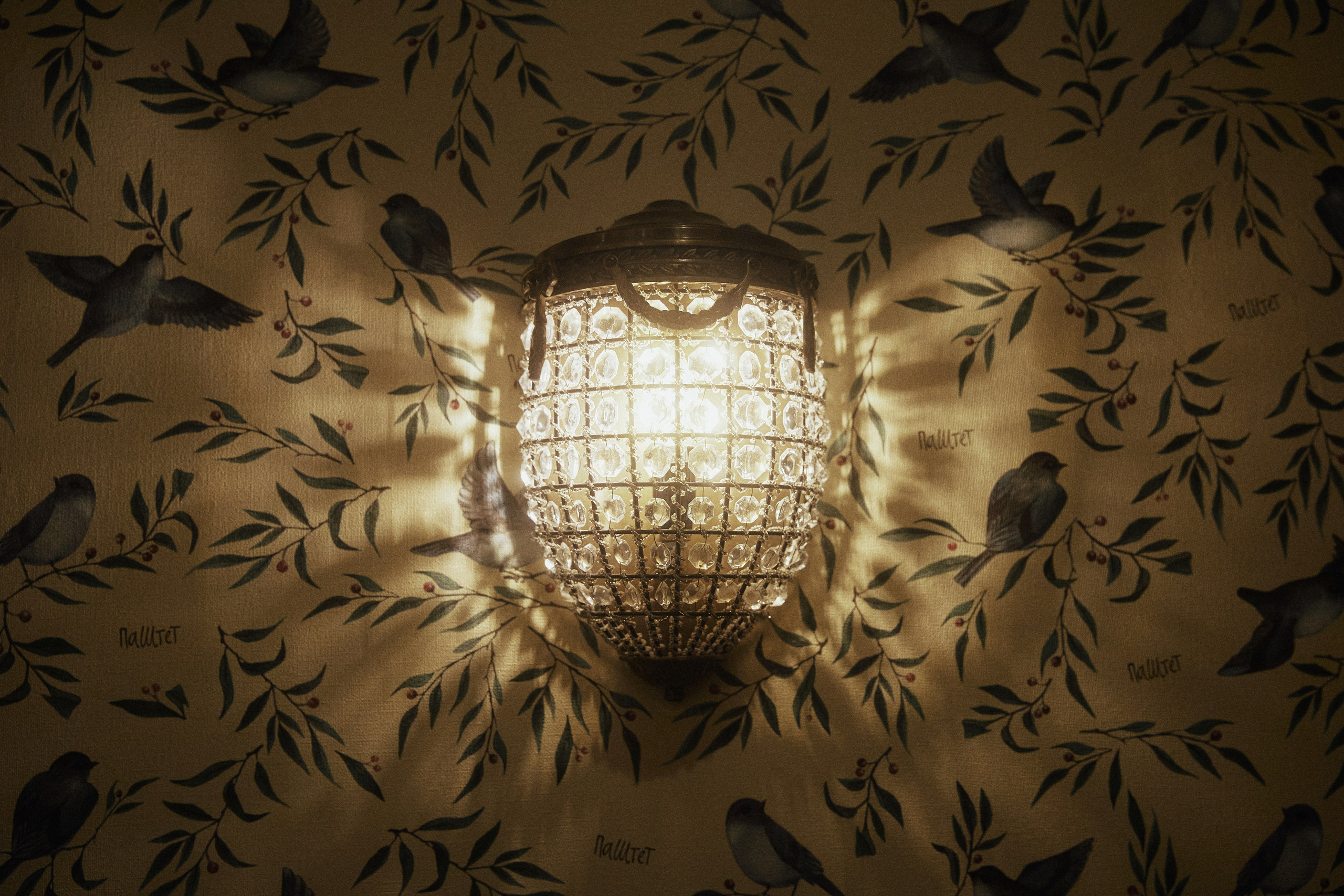 A NEW FAMILY TREE. Дмитрий Мазуркевич: Профессиональный Репортажный Фотограф