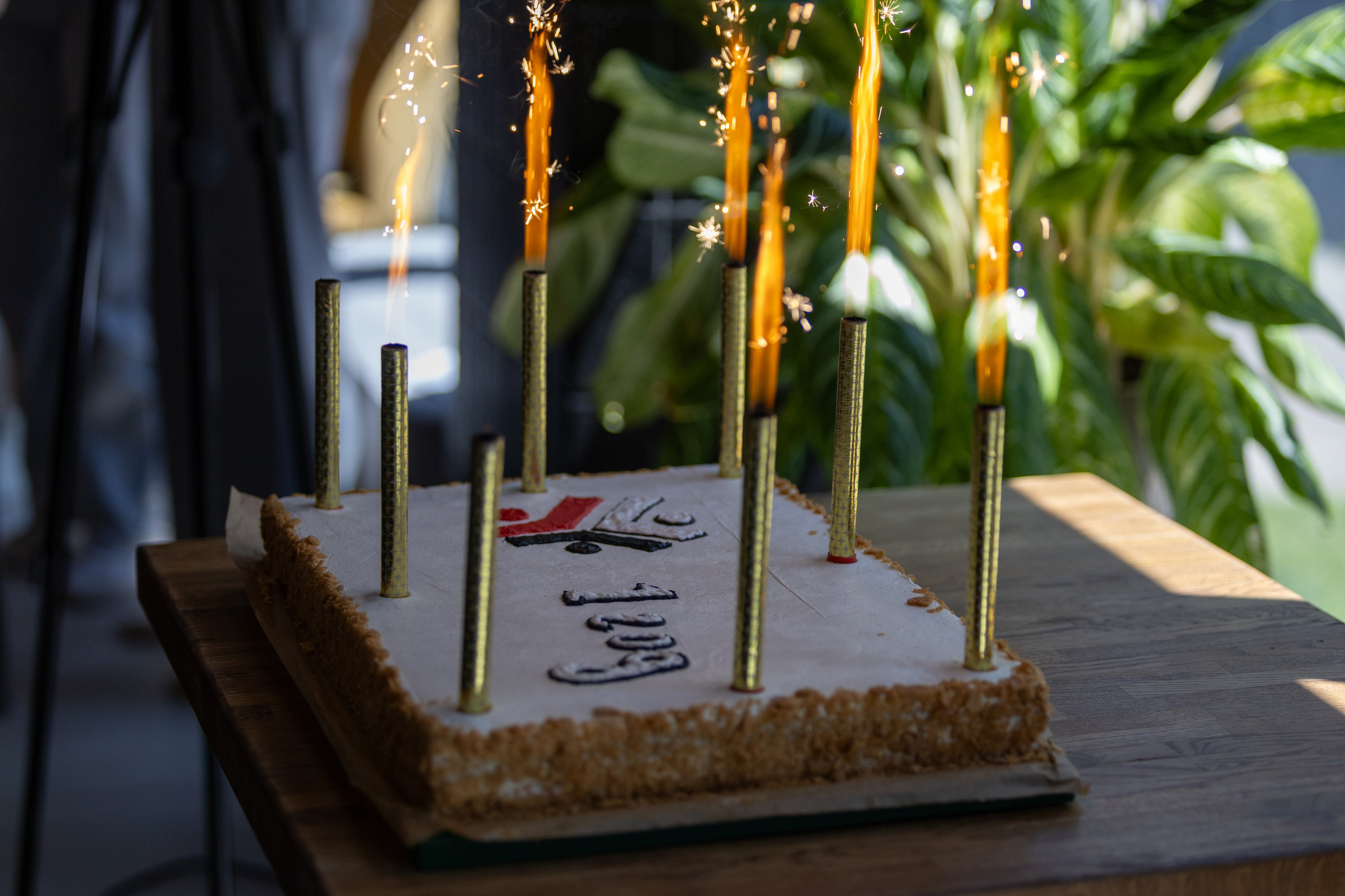 ЭФКО. СЛЁТ ЛИДЕРОВ РАБОЧЕГО АКТИВА. ДЕНЬ 3. Репортажный фотограф Анапа