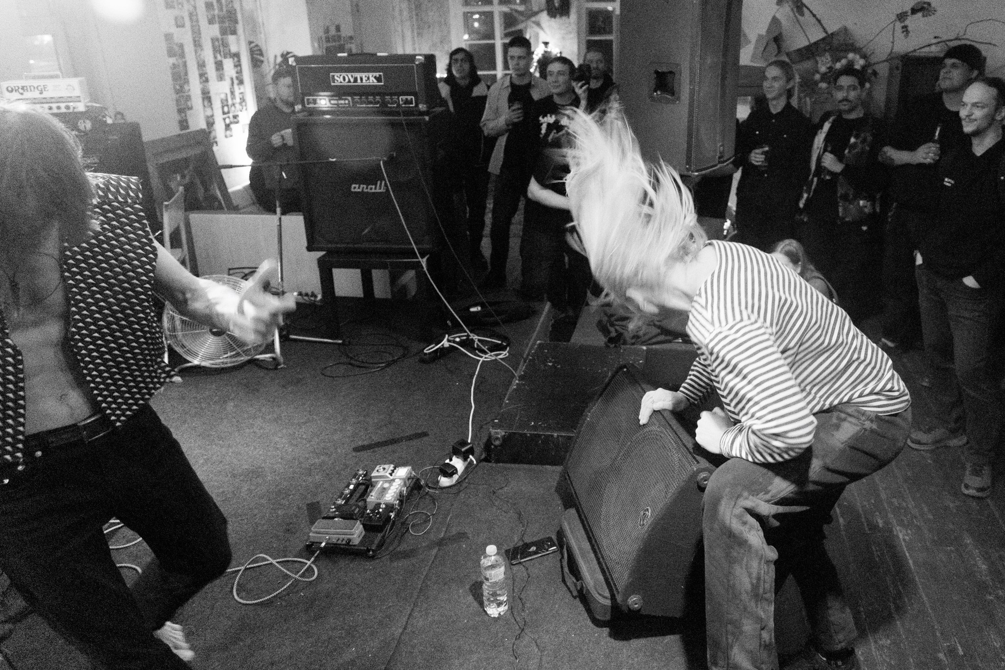 Змееед, Apodemus, 20.12.25, TAGO)))MAGO)))